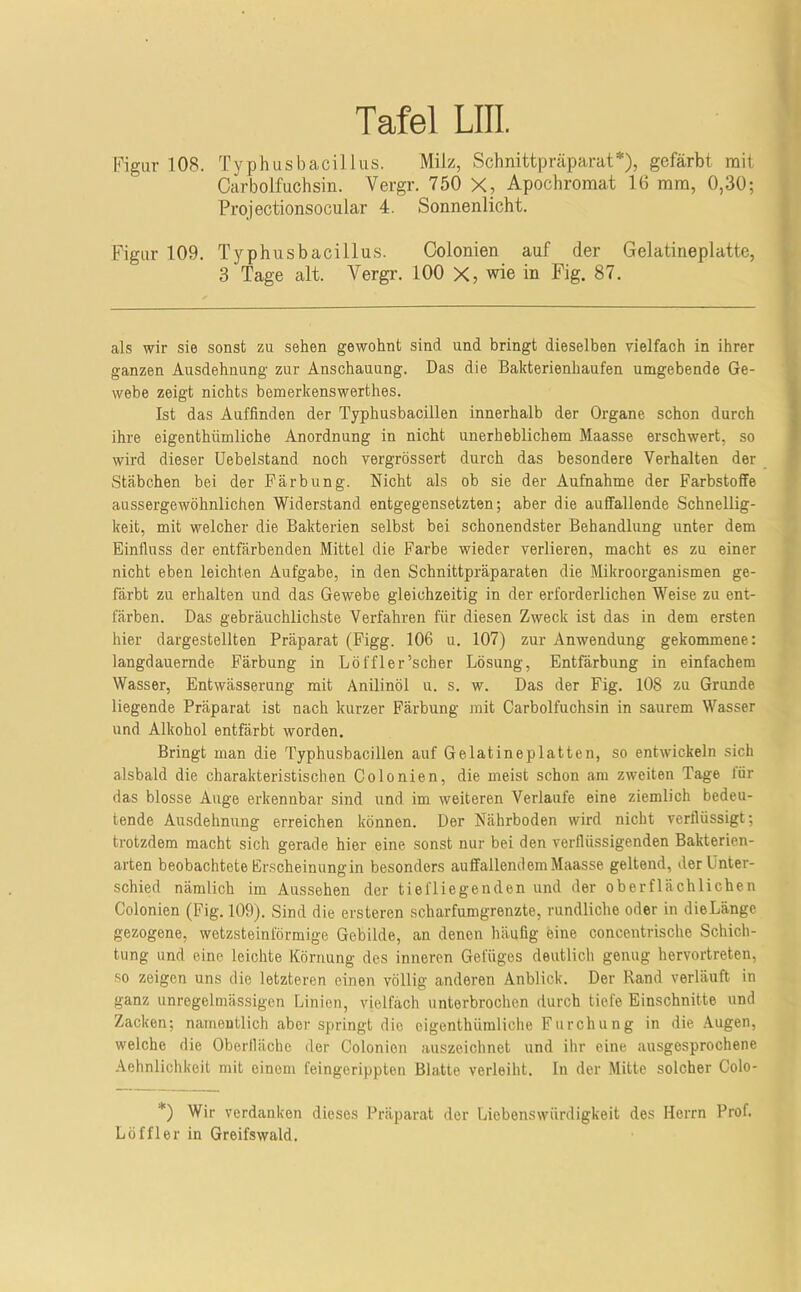 Figur 108. Typhusbacillus. Milz, Schnittpräparat*), gefärbt mit Carbolfuchsin. Vergr. 750 X, Apochromat 16 mm, 0,30; Prpjectionsocular 4. Sonnenlicht. Figur 109. T3'-phusbacillu,s. Colonien auf der Gelatineplatte, 3 Tage alt. Vergr. 100 X, wie in Fig. 87. als wir sie sonst zu sehen gewohnt sind und bringt dieselben vielfach in ihrer ganzen Ausdehnung zur Anschauung. Das die Bakterienhaufen umgebende Ge- webe zeigt nichts bemerkenswerthes. Ist das Auffinden der Typhusbacillen innerhalb der Organe schon durch ihre eigenthümliche Anordnung in nicht unerheblichem Maasse erschwert, so wird dieser üebelstand noch vergrössert durch das besondere Verhalten der Stäbchen bei der Färbung. Nicht als ob sie der Aufnahme der Farbstoffe aussergewöhnlichen Widerstand entgegensetzten; aber die auffallende Schnellig- keit, mit welcher die Bakterien selbst bei schonendster Behandlung unter dem Einfluss der entfärbenden Mittel die Farbe wieder verlieren, macht es zu einer nicht eben leichten Aufgabe, in den Schnittpräparaten die Mikroorganismen ge- färbt zu erhalten und das Gewebe gleichzeitig in der erforderlichen Weise zu ent- färben. Das gebräuchlichste Verfahren für diesen Zweck ist das in dem ersten hier dargestellten Präparat (Figg. 106 u. 107) zur Anwendung gekommene: langdauernde Färbung in Löffler’scher Lösung, Entfärbung in einfachem Wasser, Entwässerung mit Anilinöl u. s. w. Das der Fig. 108 zu Grunde liegende Präparat ist nach kurzer Färbung mit Carbolfuchsin in saurem Wasser und Alkohol entfärbt worden. Bringt man die Typhusbacillen auf Gelatineplatten, so entwickeln sich alsbald die charakteristischen Colonien, die meist schon am zweiten Tage lür das blosse Auge erkennbar sind und im weiteren Verlaufe eine ziemlich bedeu- tende Ausdehnung erreichen können. Der Nährboden wird nicht verflüssigt; trotzdem macht sich gerade hier eine sonst nur bei den verflüssigenden Bakterien- arten beobachtete Erscheinung in besonders auffallendem Maasse geltend, der Unter- schied nämlich im Aussehen der tiefliegenden und der oberflächlichen Colonien (Fig. 109). Sind die ersteren scharfumgrenzte, rundliche oder in dieLänge gezogene, wetzsteinförmige Gebilde, an denen liäufig eine concentrische Schich- tung und eine leichte Körnung des inneren Gefüges deutlich genug hervortreten, so zeigen uns die letzteren einen völlig anderen Anblick. Der Rand verläuft in ganz unregelmässigen Linien, vielfach unterbrochen durch tiefe Einschnitte und Zacken; namentlich aber springt die eigenthümliche Furchung in die Augen, welche die Oberfläche der Colonien auszeichnet und ihr eine ausgesprochene Aehnlichkeit mit einem feingerippten Blatte verleiht, ln der Mitte solcher Colo- *) Wir verdanken dieses Präparat der Liebenswürdigkeit des Herrn Prof. Löffler in Greifswald.