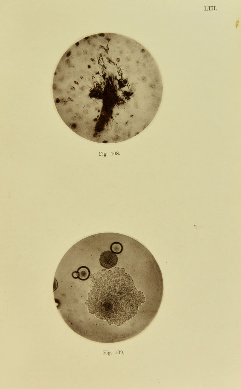 'W ^ f Fig 108. Fig. lOO