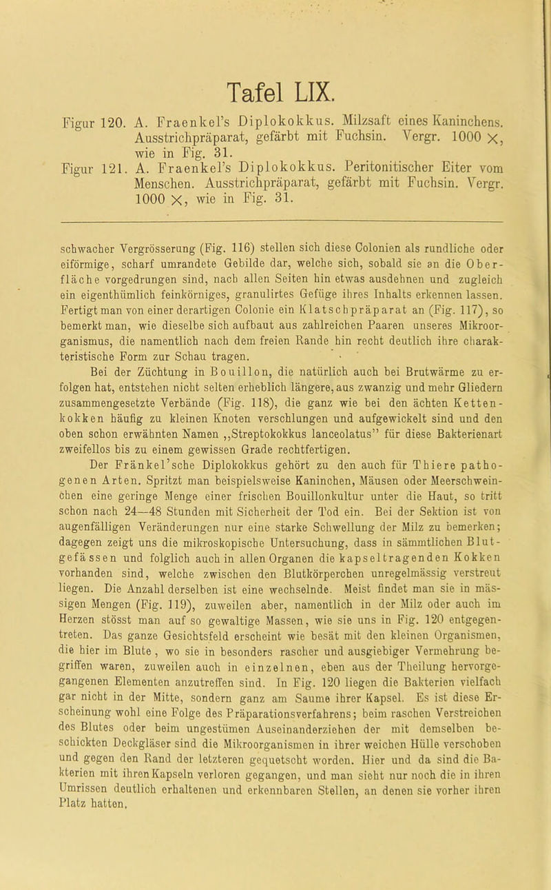 Figur 120. A. FraenkeFs Diplokokkus. Milzsaft eines Kaninchens. Ausstrichpräparat, gefärbt mit Fuchsin. Vergr. 1000 X, wie in Pig. 31. Figur 121. A. Fraenkel’s Diplokokkus. Peritonitischer Eiter vom Menschen. Ausstrichpräparat, gefärbt mit Fuchsin. Vergr. 1000 X, wie in Fig. 31. schwacher Vergrösserung (Fig. 116) stellen sich diese Colonien als rundliche oder eiförmige, scharf umrandete Gebilde dar, welche sich, sobald sie an die Ober- fläche vorgedrungen sind, nach allen Seiten hin etwas ausdehnen und zugleich ein eigenthiimlich feinkörniges, granulirtes Gefüge ihres Inhalts erkennen lassen. Fertigt man von einer derartigen Colonie ein Klatschpräparat an (Fig. 117), so bemerkt man, wie dieselbe sich aufbaut aus zahlreichen Paaren unseres Mikroor- ganismus, die namentlich nach dem freien Rande hin recht deutlich ihre charak- teristische Form zur Schau tragen. Bei der Züchtung in Bouillon, die natürlich auch bei Brutwärme zu er- folgenhat, entstehen nicht selten erheblich längere, aus zwanzig und mehr Gliedern zusammengesetzte Verbände (Fig. 118), die ganz wie bei den ächten Ketten- kokken häufig zu kleinen Knoten verschlungen und aufgewickelt sind und den oben schon erwähnten Namen ,,Streptokokkus lanceolatus” für diese Bakterienart zweifellos bis zu einem gewissen Grade rechtfertigen. Der Fränkel’sche Diplokokkus gehört zu den auch für Thiere patho- genen Arten. Spritzt man beispielsweise Kaninchen, Mäusen oder Meerschwein- chen eine geringe Menge einer frischen Bouillonkultur unter die Haut, so tritt schon nach 24—48 Stunden mit Sicherheit der Tod ein. Bei der Sektion ist von augenfälligen Veränderungen nur eine starke Schwellung der Milz zu bemerken; dagegen zeigt uns die mila'oskopische Untersuchung, dass in sämmtlichen Blut- gefässen und folglich auch in allen Organen die kapseltragenden Kokken vorhanden sind, welche zwischen den Blutkörperchen unregelmässig verstreut liegen. Die Anzahl derselben ist eine wechselnde. Meist findet man sie in mäs- sigen Mengen (Fig. 119), zuweilen aber, namentlich in der Milz oder auch im Herzen stösst man auf so gewaltige Massen, wie sie uns in Fig. 120 entgegen- treten. Das ganze Gesichtsfeld erscheint wie besät mit den kleinen Organismen, die hier im Blute, wo sie in besonders rascher und ausgiebiger Vermehrung be- griffen waren, zuweilen auch in einzelnen, eben aus der Theilung hervorge- gangenen Elementen anzutreffen sind. In Fig. 120 liegen die Bakterien vielfach gar nicht in der Mitte, sondern ganz am Saume ihrer Kapsel. Es ist diese Er- scheinung wohl eine Folge des Präparations Verfahrens; beim raschen Verstreichen des Blutes oder beim ungestümen Auseinanderziehen der mit demselben be- schickten Deckgläser sind die Mikroorganismen in ihrer weichen Hülle verschoben und gegen den Rand der letzteren gequetscht worden. Hier und da sind die Ba- kterien mit ihren Kapseln verloren gegangen, und man sieht nur noch die in ihren Umrissen deutlich erhaltenen und erkennbaren Stellen, an denen sie vorher ihren Platz hatten.