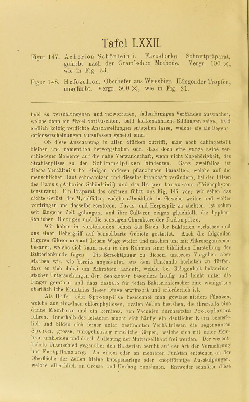 Figur 147. Achorion Schönleinii. Favusborke. Schnittpräparat, gefärbt nach der Gram’schen Methode. Vergr. 100 X, wie in Fig. 33. Figur 148. Hefezellen. Oberhefen aus Weissbier. Hängender Tropfen, ungefärbt. Vergr. 500 X, wie in Fig. 21. bald zu verschlungenen und verworrenen, fadenförmigen Verbänden auswachse, welche dann ein Mycel vorläuschten, bald kokkenähnliche Bildungen zeige, bald endlich kolbig verdickte Anschwellungen entstehen lasse, welche sie als Degene- rationserscheinungen aufzufassen geneigt sind. Ob diese Anschauung in allen Stücken zutrifft, mag noch dahingestellt bleiben und namentlich hervorgehoben sein, dass doch eine ganze Reihe ver- schiedener Momente auf die nahe Verwandschaft, wenn nicht Zugehörigkeit, des Strahlenpilzes zu den Schimmelpilzen hindeuten. Ganz zweifellos ist dieses Verhältniss bei einigen anderen pflanzlichen Parasiten, welche auf der menschlichen Haut schmarotzen und dieselbe krankhaft verändern, hei den Pilzen des Favus (Achorion Schönleinii) und des Herpes tonsurans (Trichophyton tonsurans). Ein Präparat des ersteren führt uns Fig. 147 vor; wir sehen das dichte Gerüst der Mycelfäden, welche allmählich im Gewebe weiter und weiter Vordringen und dasselbe zerstören. Favus- und Herpespilz zu züchten, ist schon seit längerer Zeit gelungen, und ihre Culturen zeigen gleichfalls die hyphen- ähnlichen Bildungen und die sonstigen Charaktere der Fadenpilze. Wir haben im vorstehenden schon das Reich der Bakterien verlassen und uns einen Uebergriff auf benachbarte Gebiete gestattet. Auch die folgenden Figuren führen uns auf diesem Wege weiter und machen uns mit Mikroorganismen bekannt, welche sich kaum noch in den Rahmen einer bildlichen Darstellung der Bakterienkunde fügen. Die Berechtigung zu diesem unserem Vorgehen aber glauben wir, wie bereits angedeutet, aus dem Umstande herleiten zu dürfen, dass es sich dabei um Mikrohien handelt, welche bei Gelegenheit bakteriolo- gischer Untersuchungen dem Beobachter besonders häufig und leicht unter die Finger gerathen und dass deshalb für jeden Bakterienforscher eine wenigstens oberflächliche Kenntniss dieser Dinge erwünscht und erforderlich ist. Als Hefe- oder Sprosspilze bezeichnet man gewisse niedere Pflanzen, welche aus einzelnen chlorophyllosen, ovalen Zellen bestehen, die ihrerseits eine dünne Membran und ein körniges, von Vacuolen durchsetztes Protoplasma führen. Innerhalb des letzteren macht sich häufig ein deutlicher Kern bemerk- lich und bilden sich ferner unter bestimmten Verhältnissen die sogenannten Sporen, grosse, unregelmässig rundliche Körper, welche sich mit einer Mem- bran umkleiden und durch Auflösung der Mutterzellhaut frei werden. Der wesent- lichste Unterschied gegenüber den Bakterien beruht auf der Art der Vermehrung und h Ortpflanzung. An einem oder an mehreren Punkten entstehen an der Oberfläche der Zellen kleine knospenartige oder knopfförmige Ausstülpungen, welche allmählich an Grösse und Umfang zunehmen. Entweder schnüren diese
