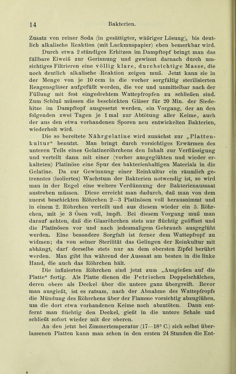 Zusatz von reiner Soda (in gesättigter, wäßriger Lösung), bis deut- lich alkalische Reaktion (mit Lackmuspapier) eben bemerkbar wird. Durch etwa 2 ständiges Erhitzen im Dampftopf bringt man das fällbare Eiweiß zur Gerinnung und gewinnt darnach durch um- sichtiges Filtrieren eine völlig klare, durchsichtige Masse, die noch deutlich alkalische Reaktion zeigen muß. Jetzt kann sie in der Menge von je 10 ccm in die vorher sorgfältig sterilisierten Reagensgläser aufgefüllt werden, die vor und unmittelbar nach der Füllung mit fest eingedrehtem Wattepfropfen zu schließen sind. Zum Schluß müssen die beschickten Gläser für 20 Min. der Siede- hitze im Dampftopf ausgesetzt werden, ein Vorgang-, der an den folgenden zwei Tagen je 1 mal zur Abtötung aller Keime, auch der aus den etwa vorhandenen Sporen neu entwickelten Bakterien, wiederholt wird. Die so bereitete Nährgelatine wird zunächst zur „Platten- kultur“ benutzt. Man bringt durch vorsichtiges Erwärmen des unteren Teils eines Gelatineröhrchens den Inhalt zur Verflüssigung und verteilt dann mit einer (vorher ausgeglühten und wieder er- kalteten) Platinöse eine Spur des bakterienhaltigen Materials in die Gelatine. Da zur Gewinnung- einer Reinkultur ein räumlich ge- trenntes (isoliertes) Wachstum der Bakterien notwendig ist, so wird man in der Regel eine weitere Verdünnung- der Bakterienaussaat anstreben müssen. Diese erreicht man dadurch, daß man von dem zuerst beschickten Röhrchen 2—3 Platinösen voll herausnimmt und in einem 2. Röhrchen verteilt und aus diesem wieder ein 3. Röhr- chen, mit je 3 Ösen voll, impft. Bei diesem Vorgang muß man darauf achten, daß die Glasröhrchen stets nur flüchtig- geöffnet und die Platinösen vor und nach jedesmaligem Gebrauch ausgeglüht werden. Eine besondere Sorgfalt ist ferner dem Wattepfropf zu widmen; da von seiner Sterilität das Gelingen der Reinkultur mit abhängt, darf derselbe stets nur an dem obersten Zipfel berührt werden. Man gibt ihn während der Aussaat am besten in die linke Hand, die auch das Röhrchen hält. Die infizierten Röhrchen sind jetzt zum „Ausgießen auf die Platte“ fertig. Als Platte dienen die Petrischen Doppelschälchen, deren obere als Deckel über die untere ganz übergreift. Bevor man ausgießt, ist es ratsam, nach der Abnahme des Wattepfropfs die Mündung des Röhrchens über der Flamme vorsichtig- abzuglühen, um die dort etwa vorhandenen Keime noch abzutöten. Dann ent- fernt man flüchtig den Deckel, gießt in die untere Schale und schließt sofort wieder mit der oberen. An den jetzt bei Zimmertemperatur (17—18° C.) sich selbst über- lassenen Platten kann man schon in den ersten 24 Stunden die Ent-