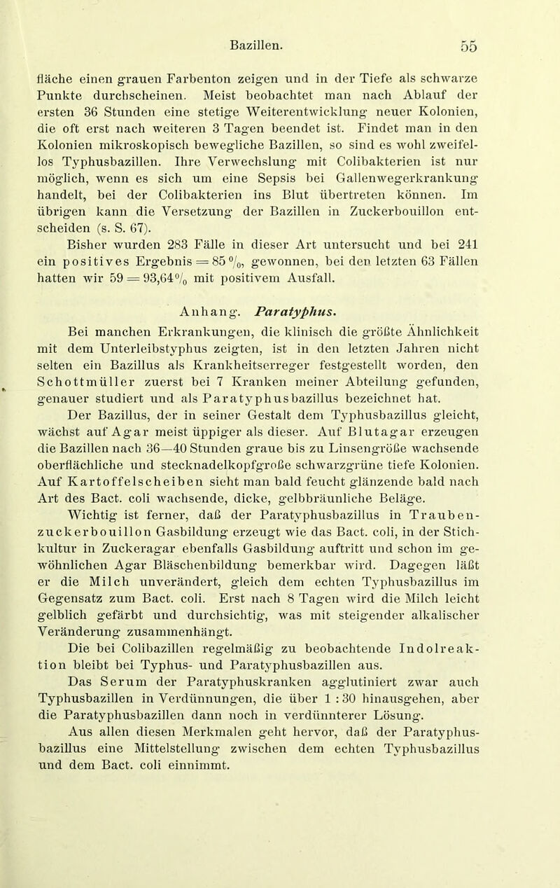 fläche einen grauen Farbenton zeigen und in der Tiefe als schwarze Punkte durchscheinen. Meist beobachtet man nach Ablauf der ersten 36 Stunden eine stetige Weiterentwicklung neuer Kolonien, die oft erst nach weiteren 3 Tagen beendet ist. Findet man in den Kolonien mikroskopisch bewegliche Bazillen, so sind es wohl zweifel- los Typhusbazillen. Ihre Verwechslung mit Colibakterien ist nur möglich, wenn es sich um eine Sepsis bei Gallenwegerkrankung handelt, bei der Colibakterien ins Blut übertreten können. Im übrigen kann die Versetzung- der Bazillen in Zuckerbouillon ent- scheiden (s. S. 67). Bisher wurden 283 Fälle in dieser Art untersucht und bei 241 ein positives Ergebnis = 85%, gewonnen, bei den letzten 63 Fällen hatten wir 59 = 93,64°/0 mit positivem Ausfall. Anhang. Paratyphns. Bei manchen Erkrankungen, die klinisch die größte Ähnlichkeit mit dem Unterleibstyphus zeigten, ist in den letzten Jahren nicht selten ein Bazillus als Krankheitserreger festgestellt worden, den Schottmüller zuerst bei 7 Kranken meiner Abteilung gefunden, genauer studiert und als Paratyphusbazillus bezeichnet hat. Der Bazillus, der in seiner Gestalt dem Typhusbazillus gleicht, wächst auf Agar meist üppiger als dieser. Auf Blutagar erzeugen die Bazillen nach 36—40 Stimden graue bis zu Linsengröße wachsende oberflächliche und stecknadelkopfgroße schwarzgrüne tiefe Kolonien. Auf Kartoffelscheiben sieht man bald feucht glänzende bald nach Art des Bact. coli wachsende, dicke, gelbbräunliche Beläge. Wichtig ist ferner, daß der Paratyphusbazillus in Trauben- zuckerbouillon Gasbildung erzeugt wie das Bact. coli, in der Stich- kultur in Zuckeragar ebenfalls Gasbildung- auftritt und schon im ge- wöhnlichen Agar Bläschenbildung bemerkbar wird. Dagegen läßt er die Milch unverändert, gleich dem echten Typhusbazillus im Gegensatz zum Bact. coli. Erst nach 8 Tagen wird die Milch leicht gelblich gefärbt und durchsichtig, was mit steigender alkalischer Veränderung zusammenhängt. Die bei Colibazillen regelmäßig zu beobachtende Indol reak- tion bleibt bei Typhus- und Paratyphusbazillen aus. Das Serum der Paratyphuskranken agglutiniert zwar auch Typhusbazillen in Verdünnungen, die über 1 :30 hinausgehen, aber die Paratyphusbazillen dann noch in verdünnterer Lösung-. Aus allen diesen Merkmalen geht hervor, daß der Paratyphus- bazillus eine Mittelstellung- zwischen dem echten Typhusbazillus und dem Bact. coli einnimmt.