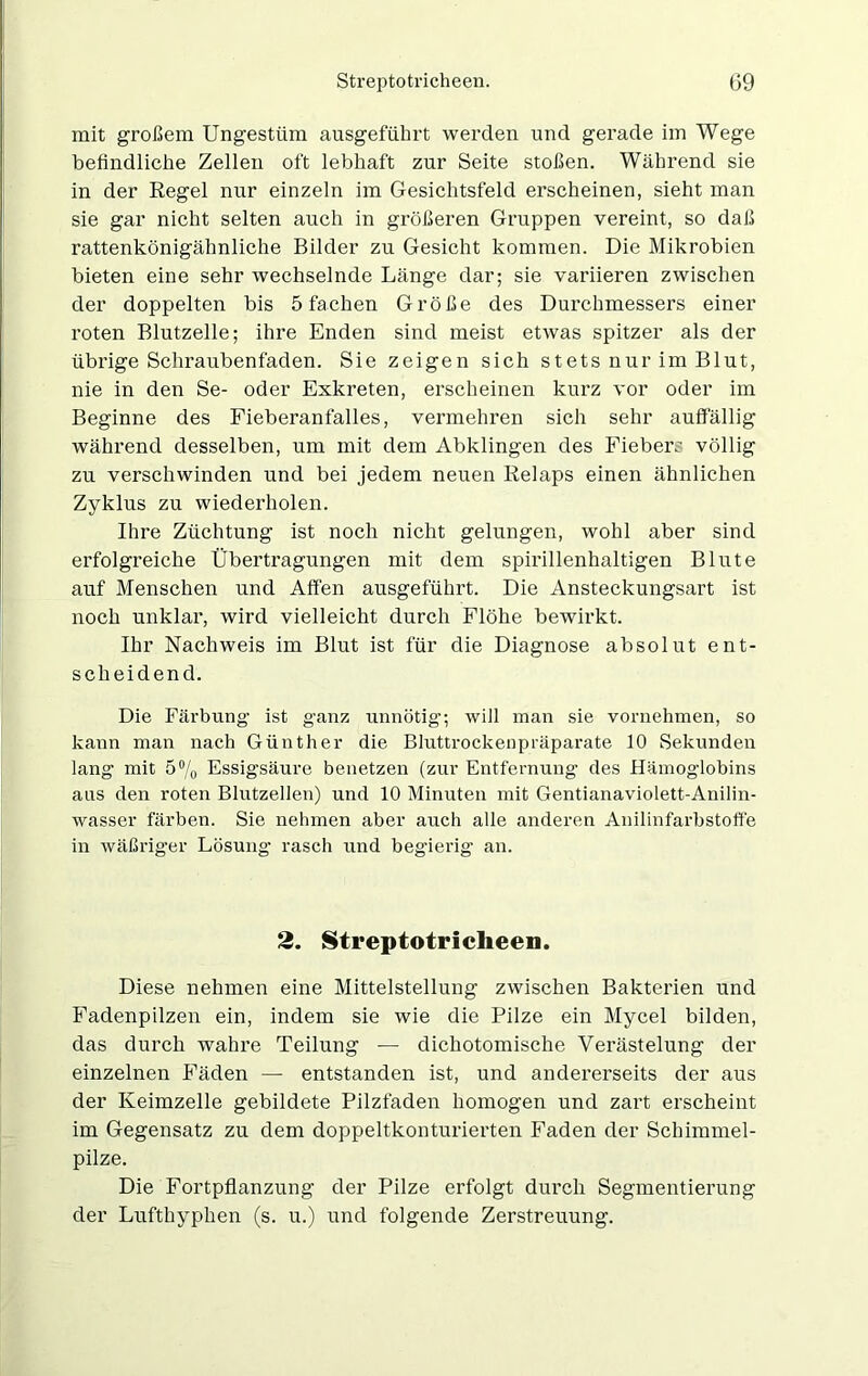 mit großem Ungestüm ausgeführt werden und gerade im Wege befindliche Zellen oft lebhaft zur Seite stoßen. Während sie in der Regel nur einzeln im Gesichtsfeld erscheinen, sieht man sie gar nicht selten auch in größeren Gruppen vereint, so daß rattenkönigähnliche Bilder zu Gesicht kommen. Die Mikrobien bieten eine sehr wechselnde Länge dar; sie variieren zwischen der doppelten bis 5 fachen Größe des Durchmessers einer roten Blutzelle; ihre Enden sind meist etwas spitzer als der übrige Schraubenfaden. Sie zeigen sich stets nur im Blut, nie in den Se- oder Exkreten, erscheinen kurz vor oder im Beginne des Fieberanfalles, vermehren sich sehr auffällig während desselben, um mit dem Abklingen des Fieber; völlig zu verschwinden und bei jedem neuen Relaps einen ähnlichen Zyklus zu wiederholen. Ihre Züchtung ist noch nicht gelungen, wohl aber sind erfolgreiche Übertragungen mit dem spirillenhaltigen Blute auf Menschen und Affen ausgeführt. Die Ansteckungsart ist noch unklar, wird vielleicht durch Flöhe bewirkt. Ihr Nachweis im Blut ist für die Diagnose absolut ent- scheidend. Die Färbung ist ganz unnötig; will man sie vornehmen, so kann man nach Günther die Bluttrockenpräparate 10 Sekunden lang mit 5% Essigsäure benetzen (zur Entfernung des Hämoglobins aus den roten Blutzellen) und 10 Minuten mit Gentianaviolett-Anilin- wasser färben. Sie nehmen aber auch alle anderen Anilinfarbstoffe in wäßriger Lösung rasch und begierig an. 2. Streptotricheen. Diese nehmen eine Mittelstellung zwischen Bakterien und Fadenpilzen ein, indem sie wie die Pilze ein Mycel bilden, das durch wahre Teilung — dichotomische Verästelung der einzelnen Fäden — entstanden ist, und andererseits der aus der Keimzelle gebildete Pilzfaden homogen und zart erscheint im Gegensatz zu dem doppeltkonturierten Faden der Schimmel- pilze. Die Fortpflanzung der Pilze erfolgt durch Segmentierung der Lufthyphen (s. u.) und folgende Zerstreuung.