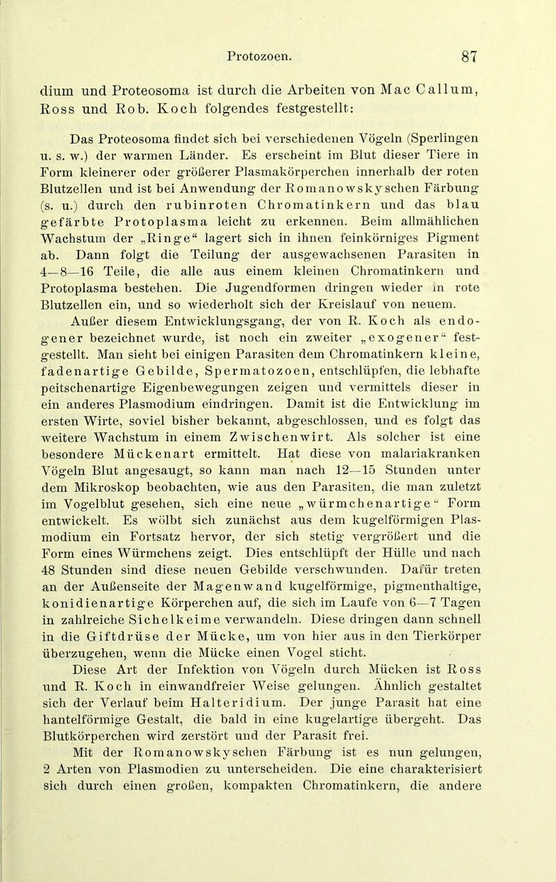 dium und Proteosoma ist durch die Arbeiten von Mac Callum, Ross und Rob. Koch folgendes festgestellt: Das Proteosoma findet sich bei verschiedenen Vögeln (Sperlingen u. s. w.) der warmen Länder. Es erscheint im Blut dieser Tiere in Form kleinerer oder größerer Plasmakörperchen innerhalb der roten Blutzellen und ist bei Anwendung der Romanowskyschen Färbung (s. u.) durch den rubinroten Chromatinkern und das blau gefärbte Protoplasma leicht zu erkennen. Beim allmählichen Wachstum der „Ringe“ lagert sich in ihnen feinkörniges Pigment ab. Dann folgt die Teilung der ausgewachsenen Parasiten in 4—8—16 Teile, die alle aus einem kleinen Chromatinkern und Protoplasma bestehen. Die Jugendformen dringen wieder in rote Blutzellen ein, und so wiederholt sich der Kreislauf von neuem. Außer diesem Entwicklungsgang, der von R. Koch als endo- gener bezeichnet wurde, ist noch ein zweiter „exogener“ fest- gestellt. Man sieht bei einigen Parasiten dem Chromatinkern kleine, fadenartige Gebilde, Spermatozoen, entschlüpfen, die lebhafte peitschenartige Eigenbewegungen zeigen und vermittels dieser in ein anderes Plasmodium eindringen. Damit ist die Entwicklung im ersten Wirte, soviel bisher bekannt, abgeschlossen, und es folgt das weitere Wachstum in einem Zwischen wir t. Als solcher ist eine besondere Mückenart ermittelt. Flat diese von malariakranken Vögeln Blut angesaugt, so kann man nach 12—15 Stunden unter dem Mikroskop beobachten, wie aus den Parasiten, die man zuletzt im Vogelblut gesehen, sich eine neue „würmchenartige“ Form entwickelt. Es wölbt sich zunächst aus dem kugelförmigen Plas- modium ein Fortsatz hervor, der sich stetig vergrößert und die Form eines Würmchens zeigt. Dies entschlüpft der Hülle und nach 48 Stunden sind diese neuen Gebilde verschwunden. Dafür treten an der Außenseite der Magenwand kugelförmige, pigmenthaltige, konidienartige Körperchen auf, die sich im Laufe von 6—7 Tagen in zahlreiche Sichelkeime verwandeln. Diese dringen dann schnell in die Giftdrüse der Mücke, um von hier aus in den Tierkörper überzugehen, wenn die Mücke einen Vogel sticht. Diese Art der Infektion von Vögeln durch Mücken ist Ross und R. Koch in einwandfreier Weise gelungen. Ähnlich gestaltet sich der Verlauf beim Halteridium. Der junge Parasit hat eine hantelförmige Gestalt, die bald in eine kugelartige übergeht. Das Blutkörperchen wird zerstört und der Parasit frei. Mit der Romanowskyschen Färbung ist es nun gelungen, 2 Arten von Plasmodien zu unterscheiden. Die eine charakterisiert sich durch einen großen, kompakten Chromatinkern, die andere
