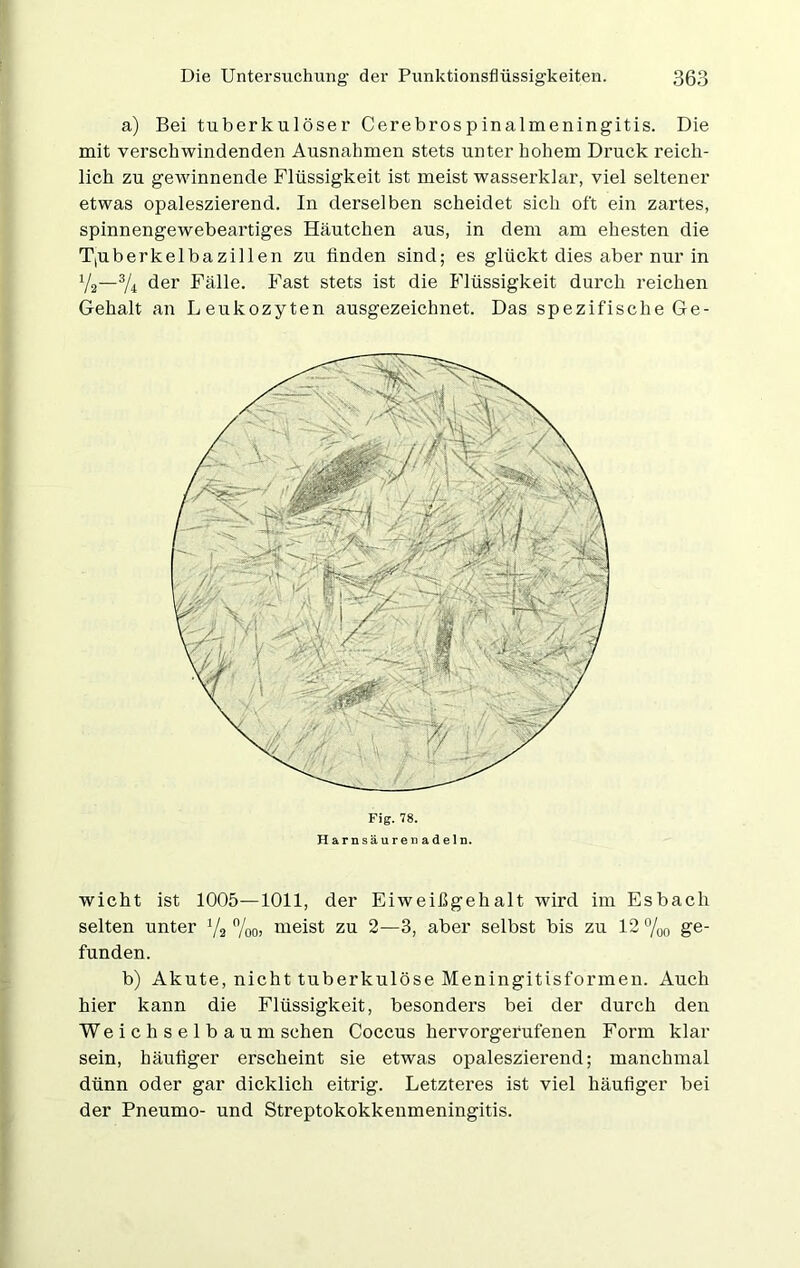 a) Bei tuberkulöser Cerebrospinalmeningitis. Die mit verschwindenden Ausnahmen stets unter hohem Druck reich- lich zu gewinnende Flüssigkeit ist meist wasserklar, viel seltener etwas opaleszierend. In derselben scheidet sich oft ein zartes, spinnengewebeartiges Häutchen aus, in dem am ehesten die T,uberkelbazillen zu finden sind; es glückt dies aber nur in Y2—3/4 der Fälle. Fast stets ist die Flüssigkeit durch reichen Gehalt an Leukozyten ausgezeichnet. Das spezifische Ge- Fig. 78. Harnsäuren adeln. wicht ist 1005—1011, der Eiweißgehalt wird im Esbach selten unter 1/a %o> meist zu 2—3, aber selbst bis zu 12 %o ge- funden. b) Akute, nicht tuberkulöse Meningitisformen. Auch hier kann die Flüssigkeit, besonders bei der durch den Weichselbaum sehen Coccus hervorgerufenen Form klar sein, häufiger erscheint sie etwas opaleszierend; manchmal dünn oder gar dicklich eitrig. Letzteres ist viel häufiger bei der Pneumo- und Streptokokkenmeningitis.