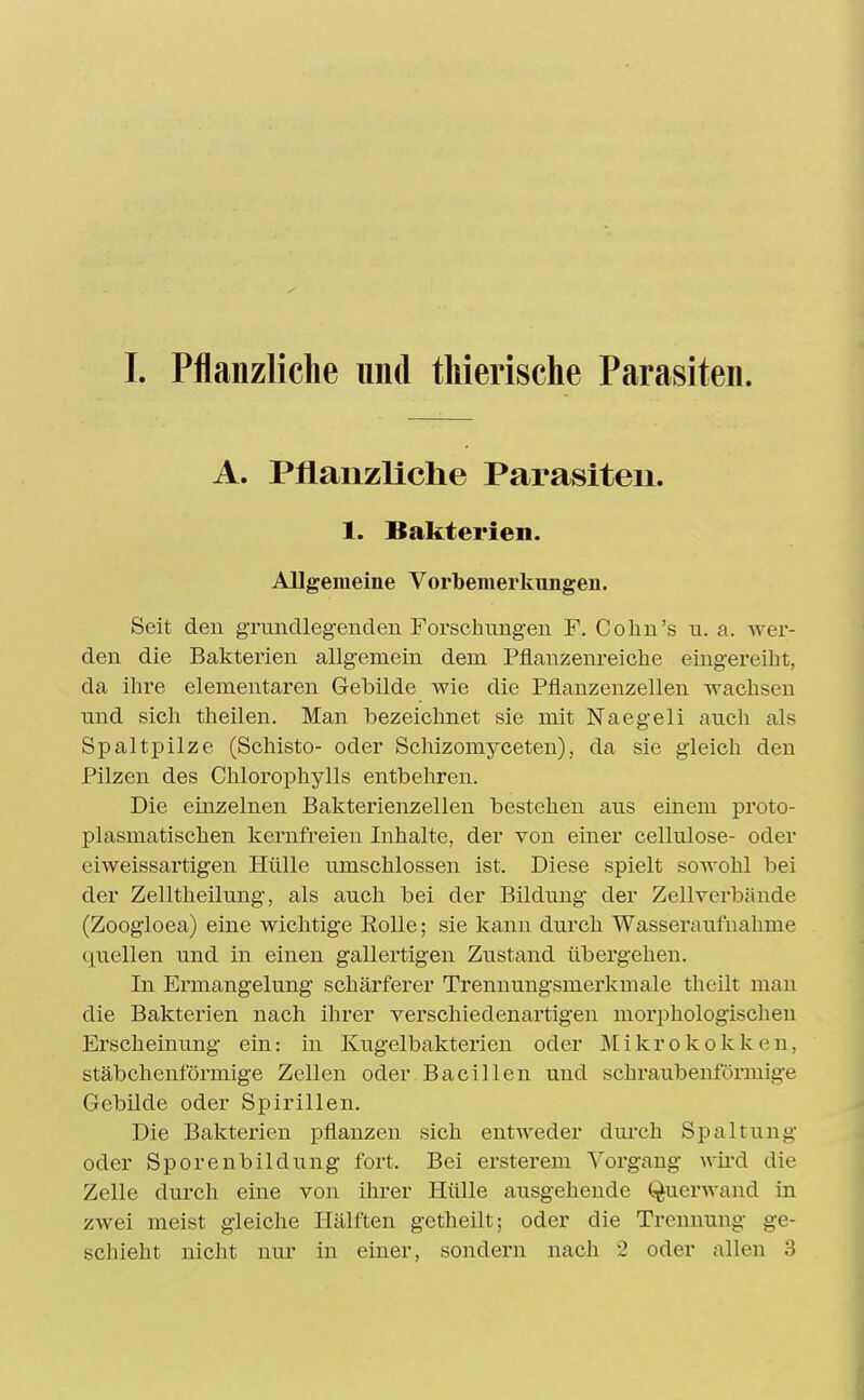 L Pflanzliche und tliierische Parasiten. A. Pflanzliche Parasiten. 1. Bakterien. Allgemeine Vorbemerkungen. Seit den grandlegenden Forschungen F. Cohn's u. a. wer- den die Bakterien allgemein dem Pflanzenreiche eingereiht, da ihre elementaren Gebilde Avie die Pflanzenzellen wachsen und sich theilen. Man bezeichnet sie mit Naegeli auch als Spaltpilze (Schisto- oder Schizomyceten), da sie gleich den Pilzen des Chlorophylls entbehren. Die einzelnen Bakterienzellen bestehen aus einem proto- plasmatischen kernfreieu Inhalte, der von einer cellulose- oder eiweissartigen Hülle umschlossen ist. Diese spielt sowohl bei der Zelltheilung, als auch bei der Bildung der Zellverbände (Zoogloea) eine wichtige Eolle; sie kann durch Wasseraufnahme quellen und in einen gallertigen Zustand übergehen. In Ermangelung schärferer Trennungsmerkmale theilt mau die Bakterien nach ihrer verschiedenartigen morphologischen Erscheinung ein: in Kugelbakterieu oder Mikrokokken, stäbchenförmige Zellen oder Bacillen und schraubenförmige Gebilde oder Spirillen. Die Bakterien pflanzen sich entweder durch Spaltung oder Sporenbildung fort. Bei ersterem Vorgang wii'd die Zelle durch eine von ihrer Hülle ausgehende Querwand in zwei meist gleiche Hälften getheilt; oder die Trennung ge-
