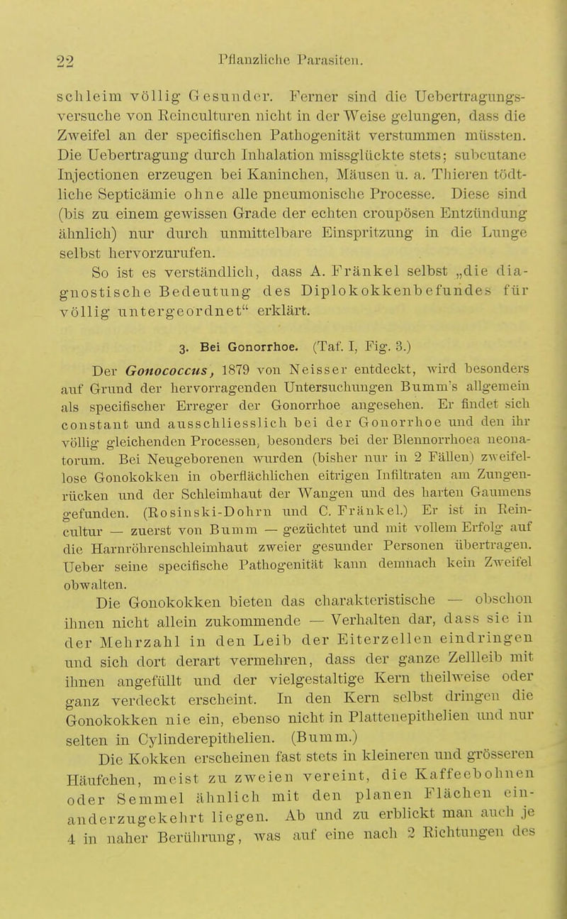 schleim völlig Gesinider. Ferner sind die Uebertragnngs- versuche von Rcinculturen nicht in der Weise gelungen, dass die Zweifel an der specitischen Pathogenität verstummen müssten. Die Uebertragung durch Inhalation missglückte stets; subcutane Injectionen erzeugen bei Kaninchen, Mäusen u. a. Thieren tödt- liche Septicämie ohne alle pneumonische Processe. Diese sind (bis zu einem gewissen Grade der echten croupösen Entzündung ähnlich) nur durch unmittelbare Einspritzung in die Lunge selbst hervorzurufen. So ist es verständlich, dass A. Frankel selbst „die dia- gnostische Bedeutung des Diplokokkenbefundes für völlig untergeordnet erklärt. 3. Bei Gonorrhoe. (Taf. I, Fig. 3.) Der Gonococcus, 1879 von Neisser entdeckt, wird besonders auf Grund der hervorragenden Untersuchungen Bumm's allgemein als specifischer Erreger der Gonorrhoe augesehen. Er findet sich constaut und ausschliesslich bei der Gonorrhoe uud den ihr vöUig gleichenden Processen; besonders bei der Blennorrhoea neona- torum. Bei Neugeborenen wurden (bisher nur in 2 Fällen) zweifel- lose Gonokokken in oberfiächhchen eitrigen Infiltraten am Zungen- rücken und der Schleimhaut der Wangen und des harten Gaumens gefunden. (Rosinski-Dohrn und C. Frankel.) Er ist in Rein- cultur — zuerst von Bumm — gezüchtet und mit vollem Erfolg auf die Harnröhrenschleimhaut zweier gesunder Personen übertragen. Ueber seine specifische Pathogenität kann demnach kein Zweifel obwalten. Die Gonokokken bieten das charakteristische — obschon ihnen nicht allein zukommende — Verhalten dar, dass sie in der Mehrzahl in den Leib der Eiterzellen eindringen und sich dort derart vermehren, dass der ganze Zellleib mit ihnen angefüllt und der vielgestaltige Kern th eil weise oder ganz verdeckt erscheint. In den Kern selbst dringen die Gonokokken nie ein, ebenso nicht in Plattenepithelien und nur selten in Cylinderepithelien. (Bumm.) Die Kokken erscheinen fast stets in kleineren und grösseren Häufchen, meist zu zweien vereint, die Kaffeebohnen oder Semmel ähnlich mit den planen Flächen ein- anderzugekelirt liegen. Ab und zu erblickt man auch je 4 in naher Berührung, was auf eine nach 2 Richtungen des