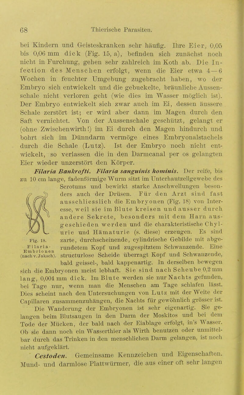 bei Kindern und Geisteskranken sehr häufig. Ihre Eier, 0,05 bis 0,06 mm dick (Fig. 15, a), befinden sich zunächst noch nicht in Furchung, gehen sehr zahh'eich im Koth ab. Die In- fection des Menschen erfolgt, wenn die Eier etwa 4 — 6 Wochen in feuchter Umgebung zugebracht haben, wo der Embryo sich entwickelt und die gebuckelte, bräunliche Aussen- schale nicht verloren geht (wie dies im Wasser möglich ist). Der Embryo entwickelt sich zwar auch im Ei, dessen äussere Schale zerstört ist; er wird aber dann im Magen durch den Saft vernichtet. Von der Aussenschale geschützt, gelangt er (ohne Zwischenwirth!) im Ei durch den Magen hindurch und bohrt sich im Dünndarm vermöge eines Embryonalstachels durch die Schale (Lutz). Ist der Embryo noch nicht ent- wickelt, so verlassen die in den Darmcanal per os gelangten Eier wieder unzerstört den Körper. Filaria Bankrofti. Filaria sanguinis hominis. Der reife, bis zu 10 cm lange, fadenförmige Wurm sitzt im Unterliautzellg-ewebe des Scrotums und bewirkt starke Anscliwelhmgen beson- ders auch der Drüsen. Für den Arzt sind fast ausschliesslich die Embryonen (Fig. 18) von Inter- esse, weil sie im Blute kreisen imd ausser durch andere Sekrete, besonders mit dem Harn aus- geschieden werden und die charakteristische Chyl- urie und Hämaturie (s. diese) erzeugen. Es sind Fig. 18. zarte, durchscheinende, cyhndrische Gebilde mit abge- Fiiaria- rundetem Kopf und zugespitztem Schwanzende. Eine (naJhv!jaksch). structurlose Scheide überragt Kopf und Schwänzende, bald geissei-, bald kappenartig. In derselben bewegen sich die Embryonen meist lebhaft. Sie sind nach Scheube 0,2 mm lang, 0,004 mm dick. Im Blute werden sie nur Nachts gefunden, bei Tage nur, wenn man die Menschen am Tage schlafen lässt. Dies scheint nach den Untersuchungen von Lutz mit der Weite der CapiUaren zusammenzuhängen, die Nachts für gewöhnlich grösser ist. Die Wanderung der Embryonen ist sehr eigenartig. Sie ge- langen beim Bhitsaugen in den Darm der Moskitos und bei dem Tode der Mücken, der bald nach der Eiablage erfolgt, in's Wasser. Ob sie dann noch ein Wasserthier als Wirth benutzen oder unmittel- bar durch das Trinken in den menschUchen Darm gelangen, ist noch niclit aufgeklärt. Cestoden. Gemeinsame Kennzeichen und Eigenschaften. Mund- und darmlose Plattwürmer, die aus einer oft sehr langen