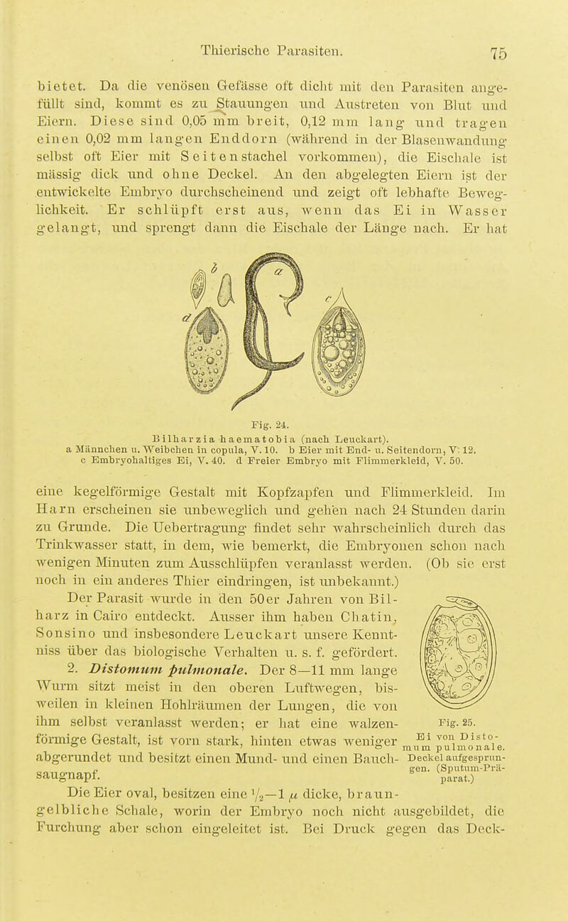 bietet. Da die venösen Gefässe oft dicht mit den Parasiten ange- füllt sind, kommt es zu Stauungen und Aiistreten von Blut und Eiern. Diese sind 0,05 mm breit, 0,12 mm lang- und tragen einen 0,02 mm langen Enddorn (-während in der Blasenwandiing selbst oft Eier mit Seiten stachel vorkommen), die Eischale ist massig dick und ohne Deckel. An den abgelegten Eiern ist der entwickelte Embryo durchscheinend und zeigt oft lebhafte Beweg- lichkeit. Er schlüpft erst aus, wenn das Ei in Wasser gelangt, und sprengt dann die Eischale der Länge nach. Er hat Fig. 2i. Bilharzia haematobia (nach Leuckai't). a Männchen u. Weibchen in copula, V. 10. b Eier mit End- u. Seitendovn, V~. 12. c Embryohaltiges Ei, V. 40. d Freier Bmbr3'0 mit FlimmerlUeid, V. 50. eine kegelförmige Gestalt mit Kopfzapfen und Flimmerkleid. Im Harn erscheinen sie iinbeAveglich und gehen nach 24 Stunden darin zu Grunde. Die Uebertragung- findet sehr wahrscheinlich durch das Trinkwasser statt, in dem, wie bemerkt, die Embryonen schon nach wenigen Minuten zum Ausschlüpfen veranlasst werden. (Ob sie erst noch in ein anderes Thier eindringen, ist unbekannt.) Der Parasit wurde in den 50er Jahren von Bil- harz in Cairo entdeckt. Ausser ihm haben Chatin, Sonsino und insbesondere Leuckart unsere Kennt- niss über das biologische Verhalten u. s. f. gefördert. 2. Distomum pulmonale. Der 8—11 mm lange Wurm sitzt meist in den oberen Luftwegen, bis- weüen in kleinen Hohlräumen der Lungen, die von ihm selbst veranlasst werden; er hat eine walzen- Fig. 25. förmige Gestalt, ist vorn stark, hinten etwas weniger ^^f^ puin^jn'aVe. abgerandet und besitzt einen Mund- tiud einen Bauch- Decicei aufgesprun- „ gen. (Spiitura-Prä- saugnapf. \iv».t.) Die Eier oval, besitzen eine '/s—1dicke, braun- gelbliche Schale, worin der Embryo noch nicht ausgebildet, die Furchung aber schon eingeleitet ist. Bei Druck gegen das Deck-