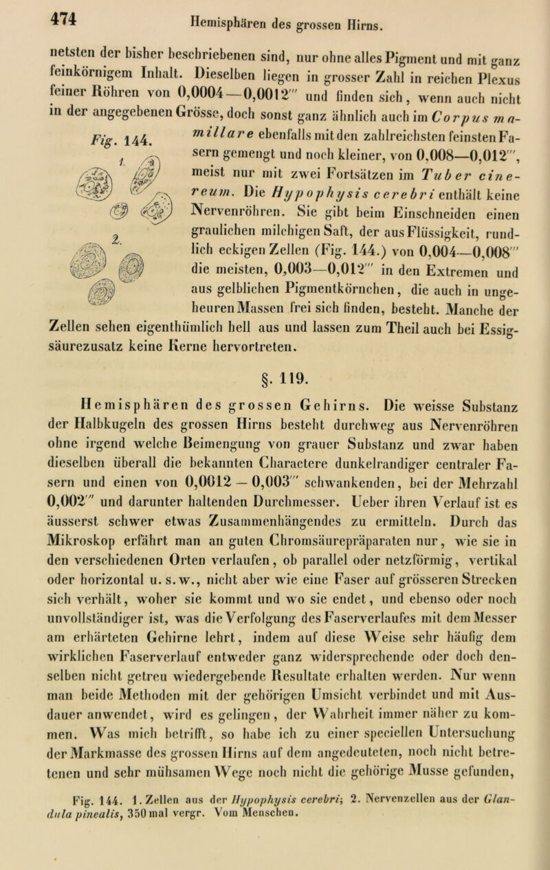 Fig. 144. netsten der bisher beschriebenen sind, nur ohne alles Pigment und mit ganz feinkörnigem Inhalt. Dieselben liegen in grosser Zahl in reichen Plexus feiner Röhren von 0,0004—0,0012' und finden sich, wenn auch nicht in der angegebenen Grösse, doch sonst ganz ähnlich auch im Corpus mn- millare ebenfalls mit den zahlreichsten feinsten Fa- sern gemengt und noch kleiner, von 0,008—0,012', meist nur mit zwei Fortsätzen im Tuber cine- reum. Die Hypophysis cerebri enthält keine Nervenröhren. Sie gibt heim Einschneiden einen graulichen milchigen Saft, der aus Flüssigkeit, rund- lich eckigen Zellen (Fig. 144.) von 0,004 —0,008' die meisten, 0,003—0,01*2 in den Extremen und aus gelblichen Pigmentkörnchen, die auch in unge- heurenMassen frei sich finden, besteht. Manche der Zellen sehen eigenthümlich hell aus und lassen zum Theil auch bei Essig- säurezusatz keine Kerne hervortreten. §. 119. Hemisphären des grossen Gehirns. Die weisse Substanz der Halbkugeln des grossen Hirns besteht durchweg aus Nervenröhren ohne irgend welche Beimengung von grauer Substanz und zwar haben dieselben überall die bekannten Charactere dunkelrandiger centraler Fa- sern und einen von 0,0012 — 0,003 schwankenden, bei der Mehrzahl 0,002' und darunter haltenden Durchmesser. Ueber ihren Verlauf ist es äusserst schwer etwas Zusammenhängendes zu ermitteln. Durch das Mikroskop erfährt man an guten Chromsäurepräparaten nur, wie sie in den verschiedenen Orten verlaufen, ob parallel oder netzförmig, vertikal oder horizontal u. s.w., nicht aber wie eine Faser auf grösseren Strecken sich verhält, woher sie kommt und wo sie endet, und ebenso oder noch unvollständiger ist, was die Verfolgung des Faserverlaufes mit demMesser am erhärteten Gehirne lehrt, indem auf diese Weise sehr häufig dem wirklichen Faserverlauf entweder ganz widersprechende oder doch den- selben nicht getreu wiedergebende Resultate erhalten werden. Nur wenn man beide Methoden mit der gehörigen Umsicht verbindet und mit Aus- dauer anwendet, wird es gelingen, der Wahrheit immer näher zu kom- men. Was mich betrifft, so habe ich zu einer speciellen Untersuchung der Markmasse des grossen Hirns auf dem angedeuteten, noch nicht betre- tenen und sehr mühsamen Wege noch nicht die gehörige Müsse gefunden, Fig. 144. 1. Zellen aus der Hypophysis cerebri; 2. Nervenzellen aus der Glan- dula pincalis, 350mal vergr. Vom Menschen.