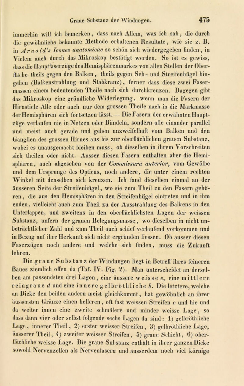 immerhin will ich bemerken, dass nach Allem, was ich sah, die durch die gewöhnliche bekannte Methode erhaltenen Resultate, wie sie z. B. in Arnold's Icones anatornicae so schön sich wiedergegeben finden, in Vielem auch durch das Mikroskop bestätigt werden. So ist es gewiss, dass die Hauptfaserzüge des Hemisphärenmarkes von allen Stellen der Ober- fläche theils gegen den Balken, theils gegen Seil - und Streifcnhügel hin- gehen (Balkenstrahlung und Stabkranz), ferner dass diese zwei Faser- massen einem bedeutenden Theile nach sich durchkreuzen. Dagegen gibt das Mikroskop eine gründliche Widerlegung, wenn man die Fasern der Hirnstiele Alle oder auch nur dem grossen Theile nach in die Markmasse der Hemisphären sich fortsetzen lässt. — Die Fasern der erwähnten Haupt- ziige verlaufen nie in Netzen oder Bündeln, sondern alle einander parallel und meist auch gerade und gehen unzweifelhaft vom Balken und den Ganglien des grossen Hirnes aus bis zur oberflächlichen grauen Substanz, wobei es unausgemacht bleiben muss, ob dieselben in ihrem Vorschreiten sich theilen oder nicht. Ausser diesen Fasern enthalten aber die Hemi- sphären, auch abgesehen von der Commissura anterior, vom Gewölbe und dem Ursprünge des Opticus, noch andere, die unter einem rechten Winkel mit denselben sich kreuzen. Ich fand dieselben einmal an der äusseren Seite der Streifenhügel, w’o sie zum Theil zu den Fasern gehö- ren , die aus den Hemisphären in den Streifenhügel eintreten und in ihm enden, vielleicht auch zum Theil zu der Ausstrahlung des Balkens in den Unterlappen, und zweitens in den oberflächlichsten Lagen der weissen Substanz, unfern der grauen Belegungsmasse, wo dieselben in nicht un- beträchtlicher Zahl und zum Theil auch schief verlaufend Vorkommen und in Bezug auf ihre Herkunft sich nicht ergründen liessen. Ob ausser diesen Faserzügen noch andere und welche sich finden, muss die Zukunft lehren. Die graue Substanz der Windungen liegt in Betreff ihres feineren Baues ziemlich offen da (Taf. IV. Fig. 2). Man unterscheidet an dersel- ben am passendsten drei Lagen, eine äussere weisse e, eine mittlere reingraue d und eine innere gelbröt blichet. Die letztere, welche an Dicke den beiden andern meist gleichkommt, hat gewöhnlich an ihrer äussersten Gränze einen helleren, oft fast weissen Streifen c und hie und da weiter innen eine zweite schmälere und minder weisse Lage, so dass dann vier oder selbst folgende sechs Lagen da sind: 1) gelbröthliche Lage , innerer Theil, 2) erster weisser Streifen , 3) gelbröthliche Lage, äusserer Theil, 4) zweiter weisser Streifen, 5) graue Schicht, 6) ober- flächliche weisse Lage. Die graue Substanz enthält in ihrer ganzen Dicke sowohl Nervenzellen als Nervenfasern und ausserdem noch viel körnige