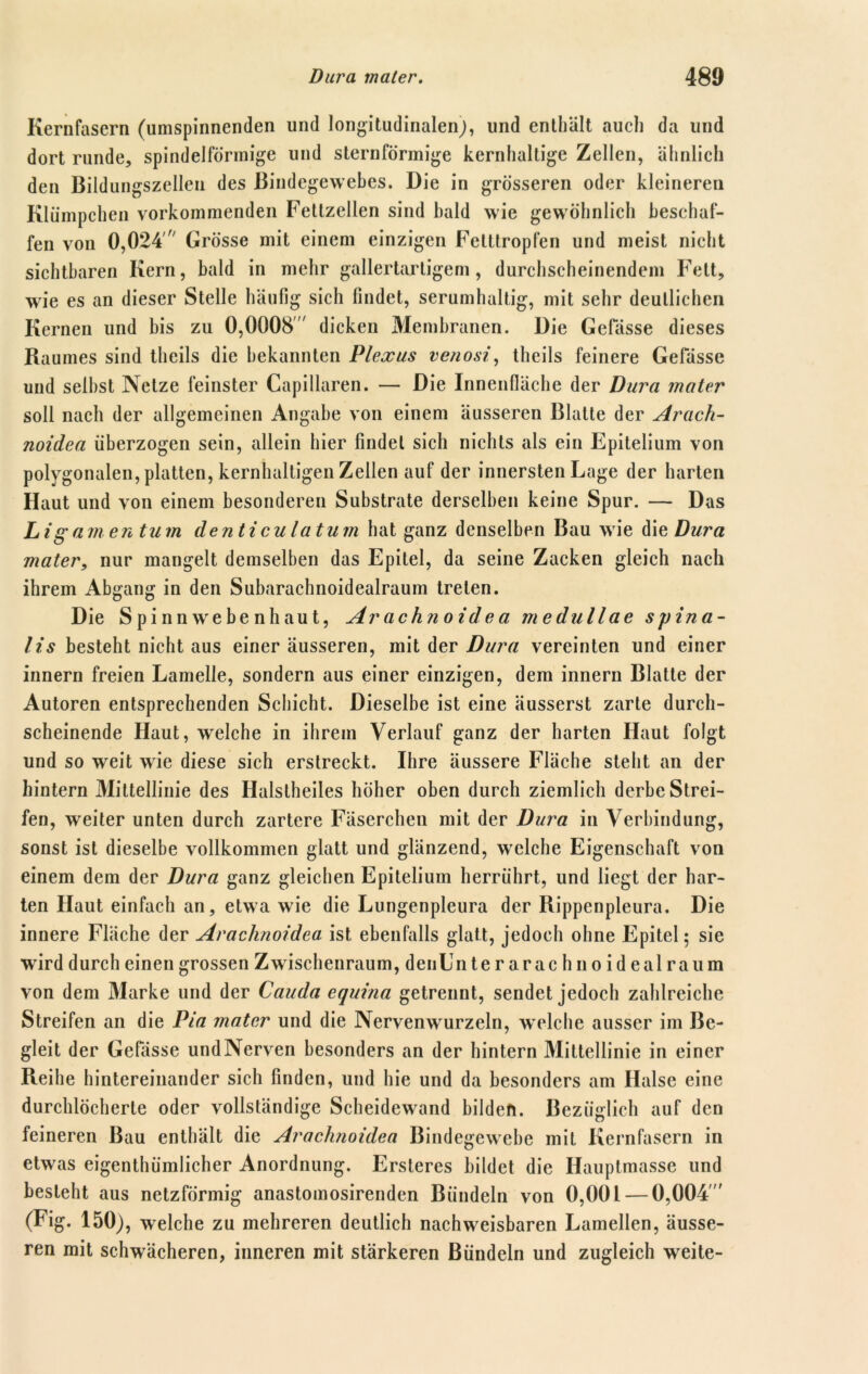 Kernfasern (umspinnenden und longitudinalen;, und enthält auch da und dort runde, spindelförmige und sternförmige kernhaltige Zellen, ähnlich den Bildungszellen des Bindegewebes. Die in grösseren oder kleineren Klümpchen vorkommenden Fettzellen sind bald wie gewöhnlich beschaf- fen von 0,024'r/ Grösse mit einem einzigen Felttropfen und meist nicht sichtbaren Kern, bald in mehr gallertartigem , durchscheinendem Fett, wie es an dieser Stelle häufig sich findet, serumhaltig, mit sehr deutlichen Kernen und bis zu 0,0008' dicken Membranen. Die Gefässe dieses Raumes sind theils die bekannten Plexus venosi, theils feinere Gelasse und seihst Netze feinster Capillaren. — Die Innenfläche der Dura mater soll nach der allgemeinen Angabe von einem äusseren Blatte der Arach- noidea überzogen sein, allein hier findet sich nichts als ein Epitelium von polygonalen, platten, kernhaltigen Zellen auf der innersten Lage der harten Haut und von einem besonderen Substrate derselben keine Spur. — Das Ligam en tum denticulatum hat ganz denselben Bau wie die Dura mater, nur mangelt demselben das Epitel, da seine Zacken gleich nach ihrem Abgang in den Subarachnoidealraum treten. Die Spinnwebenhaut, Ar achnoid e a medullae syina- lis besteht nicht aus einer äusseren, mit der Dura vereinten und einer innern freien Lamelle, sondern aus einer einzigen, dem innern Blatte der Autoren entsprechenden Schicht. Dieselbe ist eine äusserst zarte durch- scheinende Haut, welche in ihrem Verlauf ganz der harten Haut folgt und so weit wie diese sich erstreckt. Ihre äussere Fläche steht an der hintern Mittellinie des Halstheiles höher oben durch ziemlich derbe Strei- fen, weiter unten durch zartere Fäserchen mit der Dura in Verbindung, sonst ist dieselbe vollkommen glatt und glänzend, welche Eigenschaft von einem dem der Dura ganz gleichen Epitelium herrührt, und liegt der har- ten Haut einfach an, etwa wie die Lungenpleura der Rippenpleura. Die innere Fläche der Arachnoidea ist ebenfalls glatt, jedoch ohne Epitel; sie wird durch einen grossen Zwischenraum, denLnter arac hnoidealraum von dem Marke und der Cauda equina getrennt, sendet jedoch zahlreiche Streifen an die Pia mater und die Nervenwurzeln, welche ausser im Be- gleit der Gefässe und Nerven besonders an der hintern Mittellinie in einer Reihe hintereinander sich finden, und hie und da besonders am Halse eine durchlöcherte oder vollständige Scheidewand bilden. Bezüglich auf den feineren Bau enthält die Arachnoidea Bindegewebe mit Kernfasern in etwas eigentümlicher Anordnung. Ersteres bildet die Hauptmasse und besieht aus netzförmig anastomosirenden Bündeln von 0,001 — 0,004 (Fig. 150), welche zu mehreren deutlich nachweisbaren Lamellen, äusse- ren mit schwächeren, inneren mit stärkeren Bündeln und zugleich weite-