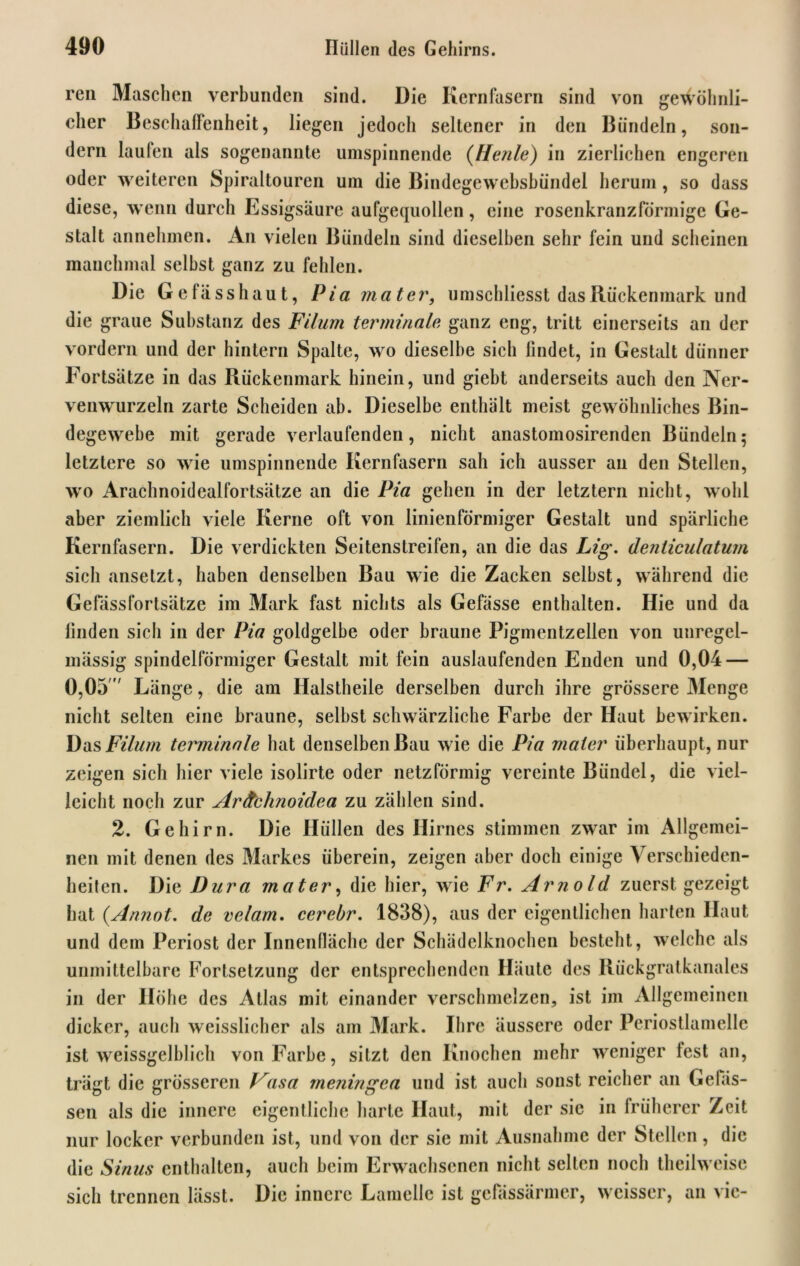 reu Maschen verbunden sind. Die Kernfasern sind von gewöhnli- cher Beschaffenheit, liegen jedoch seltener in den Bündeln, son- dern laufen als sogenannte umspinnende (Heule) in zierlichen engeren oder weiteren Spiraltouren um die Bindegewcbsbündel herum, so dass diese, wenn durch Essigsäure aufgequollen, eine rosenkranzförmige Ge- stalt annehmen. An vielen Bündeln sind dieselben sehr fein und scheinen manchmal selbst ganz zu fehlen. Die Ge fass haut, Pia mater, umschliesst das Rückenmark und die graue Substanz des Filum terminale, ganz eng, tritt einerseits an der vordem und der hintern Spalte, wo dieselbe sich findet, in Gestalt dünner Fortsätze in das Rückenmark hinein, und giebt anderseits auch den Ner- venwurzeln zarte Scheiden ab. Dieselbe enthält meist gewöhnliches Bin- degewebe mit gerade verlaufenden, nicht anastomosirenden Bündeln; letztere so wie umspinnende Kernfasern sah ich ausser an den Stellen, wo Arachnoidealfortsätze an die Pia gehen in der letztem nicht, wohl aber ziemlich viele Kerne oft von linienförmiger Gestalt und spärliche Kernfasern. Die verdickten Seitenstreifen, an die das Lig. denliculatum sich ansetzt, haben denselben Bau wie die Zacken selbst, während die Gefässfortsätze im Mark fast nichts als Gefässe enthalten. Hie und da linden sich in der Pia goldgelbe oder braune Pigmentzellen von unregel- mässig spindelförmiger Gestalt mit fein auslaufenden Enden und 0,04 — 0,05'' Länge, die am Halstheile derselben durch ihre grössere Menge nicht selten eine braune, selbst schwärzliche Farbe der Haut bew irken. Das Filum tei'minale hat denselben Bau wie die Pia mater überhaupt, nur zeigen sich hier viele isolirte oder netzförmig vereinte Bündel, die viel- leicht noch zur Ardtchnoidea zu zählen sind. 2. Gehirn. Die Hüllen des Hirnes stimmen zwrar im Allgemei- nen mit denen des Markes überein, zeigen aber doch einige Verschieden- heiten. Die Dura mater, die hier, wie Fr. Arnold zuerst gezeigt hat (Annot. de velam. cerebr. 1838), aus der eigentlichen harten Haut und dem Periost der Innenfläche der Schädelknochen besteht, welche als unmittelbare Fortsetzung der entsprechenden Häute des Rückgratkanales in der Höhe des Atlas mit einander verschmelzen, ist im Allgemeinen dicker, auch weisslicher als am Mark. Ihre äussere oder Periostlamelle ist weissgelblich von Farbe, sitzt den Knochen mehr weniger lest an, trägt die grösseren Vasa meningea und ist auch sonst reicher an Gelas- sen als die innere eigentliche harte Haut, mit der sie in früherer Zeit nur locker verbunden ist, und von der sie mit Ausnahme der Stellen, die die Sinus enthalten, auch beim Erwachsenen nicht selten noch theihveise sich trennen lässt. Die innere Lamelle ist gefässärmer, weisser, an vic-