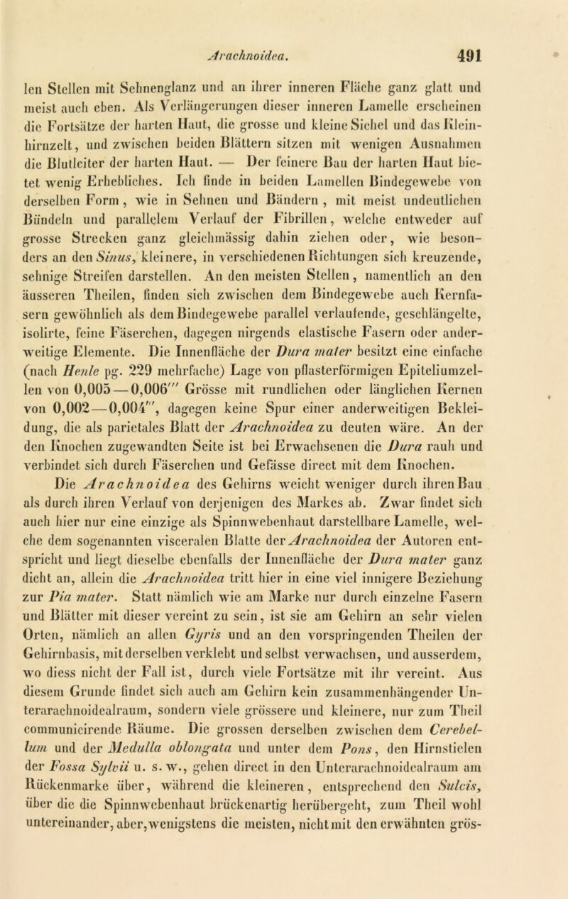 len Stellen mit Sehnenglanz und an ihrer inneren Fläche ganz glatt und meist auch eben. Als Verlängerungen dieser inneren Lamelle erscheinen die Fortsätze der harten Haut, die grosse und kleine Sichel und das Klein- hirnzelt, und zwischen beiden Blättern sitzen mit wenigen Ausnahmen die Blutleiter der harten Haut. — Der feinere Bau der harten Haut bie- tet wenig Erhebliches. Ich linde in beiden Lamellen Bindegewebe von derselben Form , wie in Sehnen und Bändern , mit meist undeutlichen Bündeln und parallelem Verlauf der Fibrillen, welche entweder auf grosse Strecken ganz gleichmässig dahin ziehen oder, wie beson- ders an den Sinus, kleinere, in verschiedenen Bichtungen sich kreuzende, sehnige Streifen darstellen. An den meisten Stellen, namentlich an den äusseren Theilen, linden sich zwischen dem Bindegewebe auch Kernfa- sern gewöhnlich als dem Bindegewebe parallel verlaufende, geschlängelte, isolirte, feine Fäserchen, dagegen nirgends elastische Fasern oder ander- weitige Elemente. Die Innenfläche der Dura maler besitzt eine einfache (nach Heule pg. 229 mehrfache) Lage von pflasterförmigen Epiteliumzel- len von 0,005 — 0,006 Grösse mit rundlichen oder länglichen Kernen von 0,002—0,004, dagegen keine Spur einer anderweitigen Beklei- dung, die als parietales Blatt der Arachnoidea zu deuten wäre. An der den Knochen zugewandten Seite ist bei Erwachsenen die Dura rauh und verbindet sich durch Fäserchen und Gefässe direct mit dem Knochen. Die Ar achnoidea des Gehirns weicht weniger durch ihrenBau als durch ihren Verlauf von derjenigen des Markes ab. Zwar findet sich auch hier nur eine einzige als Spinnwebenhaut darstellbare Lamelle, wel- che dem sogenannten visceralen Blatte der Arachnoidea der Autoren ent- spricht und liegt dieselbe ebenfalls der Innenfläche der Dura rnater ganz dicht an, allein die Arachnoidea tritt hier in eine viel innigere Beziehung zur Pia rnater. Statt nämlich wie am Marke nur durch einzelne Fasern und Blätter mit dieser vereint zu sein, ist sie am Gehirn an sehr vielen Orten, nämlich an allen Gyris und an den vorspringenden Theilen der Gehirnbasis, mit derselben verklebt und selbst verwachsen, und ausserdem, wo diess nicht der Fall ist, durch viele Fortsätze mit ihr vereint. Aus diesem Grunde findet sich auch am Gehirn kein zusammenhängender Un- terarachnoidealraum, sondern viele grössere und kleinere, nur zum Theil communicirende Räume. Die grossen derselben zwischen dem Cerebel- lum und der Medulla oblongata und unter dem Pons, den Hirnstielen der Fossa Sylvii u. s. w., gehen direct in den Unterarachnoidealraum am Rückenmarke über, während die kleineren, entsprechend den Sulcis, über die die Spinnwebenhaut brückenartig herübergeht, zum Theil wohl untereinander, aber, wenigstens die meisten, nicht mit den erwähnten grös-