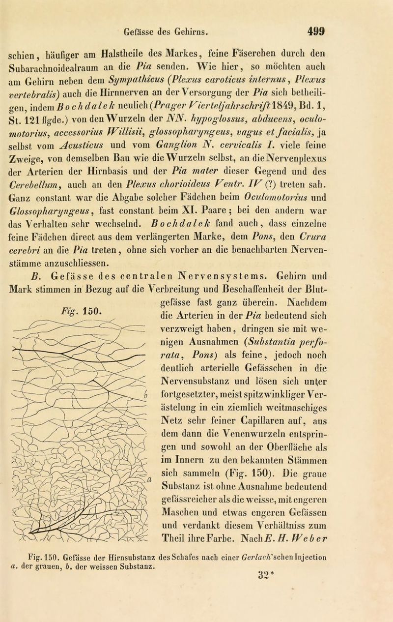 schien, häufiger am Halstheile des Markes, feine Fäserchen durch den Subarachnoidealraum an die Pia senden. Wie hier, so möchten auch am Gehirn neben dem Sympathicus (Plexus caroticus internus, Plexus vertebralis) auch die Hirnnerven an der Versorgung der Pia sich betheili- gen, indem Bochdalek neulich (.Prager Vierteljahrschrift 1849, Bd. 1, St. 121 flgde.) von den Wurzeln der NN. hypoglossus, abducens, oculo- motorius, accessorius IVillisii, glossopharyngeus, vagus et facialis, ja selbst vom Acusticus und vom Ganglion N. cervicalis /. viele feine Zweige, von demselben Bau wie die Wurzeln selbst, an dieNervenplexus der Arterien der Hirnbasis und der Pia rnater dieser Gegend und des Cerebellum, auch an den Plexus chorioidejis Ventr. IF (?) treten sah. Ganz constant war die Abgabe solcher Fädchen beim Oculomotorius und Glossopharyngeus, fast constant beim XI. Paare; bei den andern war das Verhalten sehr wechselnd. Bochdalek fand auch, dass einzelne feine Fädchen direct aus dem verlängerten Marke, dem Pons, den Crura cerebri an die Pia treten, ohne sich vorher an die benachbarten Nerven- stämme anzuschliessen. B. Gefässe des centralen Nervensystems. Gehirn und Mark stimmen in Bezug auf die Verbreitung und Beschaffenheit der Blut- gefässe fast ganz überein. Nachdem die Arterien in der Pia bedeutend sich verzweigt haben, dringen sie mit we- nigen Ausnahmen (Substantia perfo- rata, Pons) als feine, jedoch noch deutlich arterielle Gefässchen in die Nervensubstanz und lösen sich unter fortgesetzter, meist spitzwinkliger Ver- ästelung in ein ziemlich weitmaschiges Netz sehr feiner Capillaren auf, aus dem dann die Venenwurzeln entsprin- gen und sowohl an der Oberfläche als im Innern zu den bekannten Stämmen sich sammeln (Fig. 150). Die graue Substanz ist ohne Ausnahme bedeutend gefässreicher als die weisse, mit engeren Maschen und etwas engeren Gelassen und verdankt diesem Verhältniss zum Theil ihre Farbe. Nach/?. H. Weber Fig. 150. Fig. 150. Gefässe der Hirnsubstanz des Schafes nach einer Gerlach'sehen Injection a. der grauen, b. der weissen Substanz. 32*