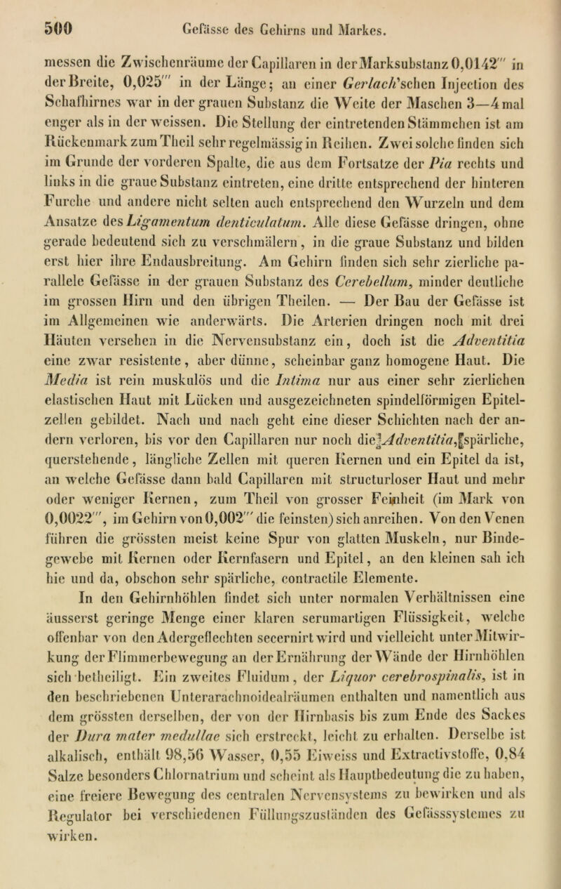 messen die Zwischenräume der Capillaren in der Marksubstanz 0,0142 in der Breite, 0,025' in der Länge; an einer Gerlack's chen Injection des Schafhirnes war in der grauen Substanz die Weite der Maschen 3—4 mal enger als in der weissen. Die Stellung der eintretenden Stämmchen ist am Rückenmark zum Theil sehr regelmässig in Reihen. Zwei solche finden sich im Grunde der vorderen Spalte, die aus dem Fortsatze der Pia rechts und links in die graue Substanz eintreten, eine dritte entsprechend der hinteren Furche und andere nicht selten auch entsprechend den Wurzeln und dem Ansätze des Ligamentum denticulatum. Alle diese Gefässe dringen, ohne gerade bedeutend sich zu verschmälern, in die graue Substanz und bilden erst liier ihre Endausbreitung. Am Gehirn finden sich sehr zierliche pa- rallele Gelasse in <ler grauen Substanz des Cerebellum, minder deutliche im grossen Hirn und den übrigen Theilen. — Der Bau der Gelasse ist im Allgemeinen wie anderwärts. Die Arterien dringen noch mit drei Häuten versehen in die Nervensubstanz ein, doch ist die Adventitia eine zwar resistente, aber dünne, scheinbar ganz homogene Iiaut. Die Media ist rein muskulös und die Intima nur aus einer sehr zierlichen elastischen Haut mit Lücken und ausgezeichneten spindelförmigen Epitel- zellen gebildet. Nach und nach geht eine dieser Schichten nach der an- dern verloren, bis vor den Capillaren nur noch fae^Adventitia,[spärliche, querstehende, längliche Zellen mit queren Kernen und ein Epitel da ist, an welche Gefässe dann bald Capillaren mit structurloser Haut und mehr oder weniger Kernen, zum Theil von grosser Feigheit (im Mark von 0,0022 , im Gehirn von0,002  die feinsten) sich anreihen. Von den V enen führen die grössten meist keine Spur von glatten Muskeln, nur Binde- gewebe mit Kernen oder Kernfasern und Epitel, an den kleinen sah ich hie und da, obschon sehr spärliche, contractile Elemente. In den Gehirnhöhlen findet sich unter normalen Verhältnissen eine äusserst geringe Menge einer klaren serumartigen Flüssigkeit, welche offenbar von den Adergeflechten secernirt wird und vielleicht unter Mitwir- kung der Flimmerbewegung an der Ernährung der Wände der Hirnhöhlen sich betheiligt. Ein zweites Fluidum, der Liquor cerebrospinalis, ist in den beschriebenen Unterarachnoidealräumen enthalten und namentlich aus dem grössten derselben, der von der Hirnbasis bis zum Ende des Sackes der Dura mater medullae sich erstreckt, leicht zu erhalten. Derselbe ist alkalisch, enthält 98,50 Wasser, 0,55 Eiweiss und Extractivstoffe, 0,84 Salze besonders Chlornatrium und scheint als Hauptbedeutung die zu haben, eine freiere Bewegung des centralen Nervensystems zu bewirken und als Regulator bei verschiedenen Füllungszuständen des Gefässsyslemes zu wirken.