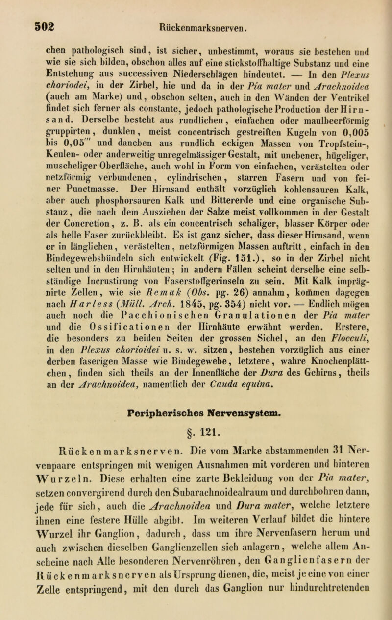 chen pathologisch sind, ist sicher, unbestimmt, woraus sie bestehen und wie sie sich bilden, obschon alles auf eine stickstoffhaltige Substanz und eine Entstehung aus successiven Niederschlägen hindeutet. — In den Plexus ckoriodei, in der Zirbel, hie und da in der Pia mater und Arachnoidea (auch am Marke) und, obschon selten, auch in den Wänden der Ventrikel findet sich ferner als constante, jedoch pathologische Production der Hirn- sand. Derselbe besteht aus rundlichen, einfachen oder maulbeerformig gruppirten, dunklen, meist concentrisch gestreiften Kugeln von 0,005 bis 0,05 ,/ und daneben aus rundlich eckigen Massen von Tropfstein-, Keulen- oder anderweitig unregelmässiger Gestalt, mit unebener, hügeliger, muscheliger Oberfläche, auch wohl in Form von einfachen, verästelten oder netzförmig verbundenen, cylindrischen, starren Fasern und von fei- ner Punctmasse. Der Hirnsand enthält vorzüglich kohlensauren Kalk, aber auch phosphorsauren Kalk und Bittererde und eine organische Sub- stanz , die nach dem Ausziehen der Salze meist vollkommen in der Gestalt der Concretion, z. B. als ein concentrisch schaliger, blasser Körper oder als helle Faser zurückbleibt. Es ist ganz sicher, dass dieser Hirnsand, wenn er in länglichen, verästelten, netzförmigen Massen auftritt, einfach in den Bindegewebsbündeln sich entwickelt (Fig. 151.), so in der Zirbel nicht selten und in den Hirnhäuten; in andern Fällen scheint derselbe eine selb- ständige Incrustirung von Faserstoffgerinseln zu sein. Mit Kalk impräg- nirte Zellen, wie sie Remak (Obs, pg. 26) annahm, koifimen dagegen nach Harless (Müll, Arch. 1845, pg. 354) nicht vor. — Endlich mögen auch noch die Pacchionischen Granulationen der Pia mater und die 0 ssificationen der Hirnhäute erwähnt werden. Erstere, die besonders zu beiden Seiten der grossen Sichel, an den Flocculi, in den Plexus chorioidei u. s. w. sitzen, bestehen vorzüglich aus einer derben faserigen Masse wie Bindegewebe, letztere, wahre Knochenplätt- chen , finden sich theils an der Innenfläche der Dura des Gehirns, theils an der Arachnoidea, namentlich der Cauda equina. Peripherisches Nervensystem. §. 121. Rückenmarks nerven. Die vom Marke abstammenden 31 Ner- venpaare entspringen mit wenigen Ausnahmen mit vorderen und hinteren Wurzeln. Diese erhalten eine zarte Bekleidung von der Pia mater, setzen convergirend durch den Subarachnoidealraum und durchbohren dann, jede für sich, auch die, Arachnoidca und Dura mater, welche letztere ihnen eine festere Hülle abgibt. Im weiteren Verlauf bildet die hintere Wurzel ihr Ganglion, dadurch, dass um ihre Nervenfasern herum und auch zwischen dieselben Ganglienzellen sich anlagern, welche allem An- scheine nach Alle besonderen Nervenröhren, den Ganglienfasern der Rückenmarksnerven als Ursprung dienen, die, meist je eine von einer Zelle entspringend, mit den durch das Ganglion nur hindurchtretenden
