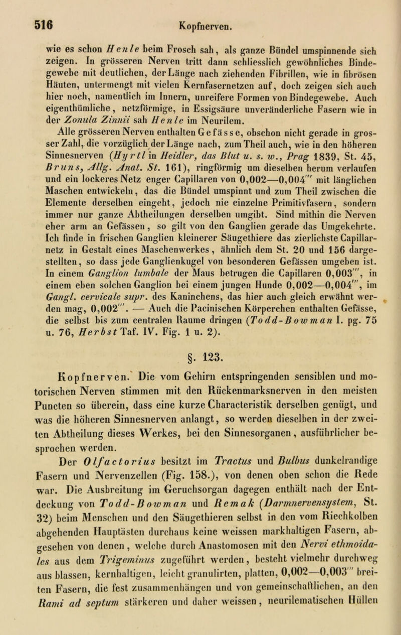 wie es schon Heitle beim Frosch sah, als ganze Bündel umspinnende sich zeigen. In grösseren Nerven tritt dann schliesslich gewöhnliches Binde- gewebe mit deutlichen, der Länge nach ziehenden Fibrillen, wie in fibrösen Häuten, untermengt mit vielen Kernfasernetzen auf, doch zeigen sich auch hier noch, namentlich im Innern, unreifere Formen von Bindegewebe. Auch eigenthiimliche, netzförmige, in Essigsäure unveränderliche Fasern wie in der Zonula Zinnii sah He nie im Neurilem. Alle grösseren Nerven enthalten Gefässe, obschon nicht gerade in gros- ser Zahl, die vorzüglich der Länge nach, zumTheil auch, wie in den höheren Sinnesnerven (Hyrtl in Heidler, das Blut u. s. w., Prag 1839, St. 45, Bruns, Allg. Anat. St. 161), ringförmig um dieselben herum verlaufen und ein lockeres Netz enger Capillaren von 0,002—0,004  mit länglichen Maschen entwickeln, das die Bündel umspinnt und zum Theil zwischen die Elemente derselben eingeht, jedoch nie einzelne Primitivfasern, sondern immer nur ganze Abtheilungen derselben umgibt. Sind mithin die Nerven eher arm an Gefässen, so gilt von den Ganglien gerade das Umgekehrte. Ich finde in frischen Ganglien kleinerer Säugethiere das zierlichste Capillar- netz in Gestalt eines Maschenwerkes, ähnlich dem St. 20 und 156 darge- stellten, so dass jede Ganglienkugel von besonderen Gefässen umgeben ist. In einem Ganglion lumbale der Maus betrugen die Capillaren 0,003 , in einem eben solchen Ganglion bei einem jungen Hunde 0,002—0,004 , im Gangl. cervicale supr. des Kaninchens, das hier auch gleich erwähnt wer- den mag, 0,002 . — Auch die Pacinischen Körperchen enthalten Gefasse, die selbst bis zum centralen Raume dringen (Todd-Bowman I. pg. 75 u. 76, Herbst Taf. IV. Fig. 1 u. 2). §. 123. Kopfnerven. Die vom Gehirn entspringenden sensiblen und mo- torischen Nerven stimmen mit den Rückenmarksnerven in den meisten Puncteu so überein, dass eine kurze Characteristik derselben genügt, und was die höheren Sinnesnerven anlangt, so werden dieselben in der zwei- ten Abtheilung dieses Werkes, bei den Sinnesorganen, ausführlicher be- sprochen werden. Der Olfactorius besitzt im Tractus und Bulbus dunkelrandige Fasern und Nervenzellen (Fig. 158.), von denen oben schon die Rede war. Die Ausbreitung im Geruchsorgan dagegen enthält nach der Ent- deckung von Todd-Bowman und Rernak (Darmnervensystem, St. 32) beim Menschen und den Säugethieren selbst in den vom Riechkolben abgehenden Hauptästen durchaus keine weissen markhaltigen Fasern, ab- gesehen von denen, welche durch Anastomosen rnit den Nervi ethmoida- les aus dem Trigeminus zugeführt werden, besteht vielmehr durchweg aus blassen, kernhaltigen, leicht granulirten, platten, 0,002—0,003  brei- ten Fasern, die fest Zusammenhängen und von gemeinschaltlichen, an den Rami ad septum stärkeren und daher weissen, neurilematischen Hüllen