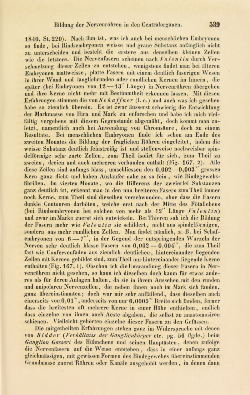 1840, St. 220). Nach ihm ist , was ich auch bei menschlichen Embryonen so linde, hei Rindsembryonen weisse und graue Substanz anfänglich nicht zu unterscheiden und besteht die erstere aus denselben kleinen Zellen wie die letztere. Die Nervenfasern scheinen nach Valentin durch Ver- schmelzung dieser Zellen zu entstehen , wenigstens bildet man hei älteren Embryonen mattweisse, platte Fasern mit einem deutlich faserigen Wesen in ihrer Wand und länglichrunden oder rundlichen Kernen im Innern, die später (hei Embryonen von 12—13 Länge) in Nervenröhren übergehen und ihre Kerne nicht mehr mit Bestimmtheit erkennen lassen. Mit diesen Erfahrungen stimmen die von Sc h affn er (l.c.) und auch was ich gesehen habe so ziemlich überein. Es ist zwar äusserst schwierig die Entwicklung der Markmasse von Hirn und Mark zu erforschen und habe ich mich viel- fältig vergebens mit diesem Gegenstände abgemüht, doch kommt man zu- letzt, namentlich auch hei Anwendung von Chromsäure, doch zu einem Resultate. Bei menschlichen Embryonen finde ich schon am Ende des zweiten Monates die Bildung der fraglichen Röhren eingeleitet, indem die weisse Substanz deutlich feinstreifig ist und stellenweise nachweisbar spin- delförmige sehr zarte Zellen, zum Theil isolirt für sich, zum Tlieil zu zweien, dreien und auch mehreren verbunden enthält (Fig. 167, 2). Alle diese Zellen sind anfangs blass, umschliessen den 0,002—0,003 grossen Kern ganz dicht und haben Ausläufer nahe zu so fein , wie Bindegewebs- fibrillen. Im vierten Monate, wo die Differenz der zw eierlei Substanzen ganz deutlich ist, erkennt man in den nun breiteren Fasern zum Theil immer noch Kerne, zum Theil sind dieselben verschwunden, ohne dass die Fasern dunkle Contouren darböten, wrelche erst nach der Mitte des Fötallebens (bei Rindsembryonen bei solchen von mehr als 12” Länge Valentin) und zwar im Marke zuerst sich entw ickeln. BeiThieren sah ich die Bildung der Fasern mehr w7ie Valentin sie schildert, nicht aus spindelförmigen, sondern aus mehr rundlichen Zellen. Man findet nämlich, z. B. bei Schaf- embryonen von 6—7'i in der Gegend der entspringenden Wurzeln der Nerven sehr deutlich blasse Fasern von 0,002 — 0,004 ', die zum Theil fast wie Confervenfäden aus ziemlich deutlichen, hintereinander liegenden Zellen mit Kernen gebildet sind, zum Theil nur hintereinander liegende Kerne enthalten (Fig. 167, 1). Obschon ich die Umw andlung dieser Fasern in Ner- venröhren nicht gesehen, so kann ich dieselben doch kaum für etwas ande- res als für deren Anlagen halten, da sie in ihrem Aussehen mit den runden und unipolaren Nervenzellen, die neben ihnen noch im Mark sich fanden, ganz übereinstimmten; doch war mir sehr auffallend, dass dieselben auch einerseits von 0,01'”, anderseits von nur 0,0005 ' Breite sich fanden, ferner dass die breitesten oft mehrere Kerne in einer Höhe enthielten, endlich dass einzelne von ihnen auch Aeste abgaben, die selbst zu anastomosiren schienen. Vielleicht gehörten einzelne dieser Fasern zu den Gefässen. Die mitgetheilten Erfahrungen stehen ganz im Widerspruche mit denen von Bidder (Vcrhältniss der Ganglienkörper etc. pg. 56 flgde.) beim Ganglion Gasseri des Hühnchens und seinen Hauptästen, denen zufolge die Nervenfasern auf die Weise entstehen , dass in einer anfangs ganz gleichmässigen, mit gewissen Formen des Bindegewebes übereinstimmenden Grundmasse zuerst Röhren oder Kanäle ausgehöhlt werden, in denen dann