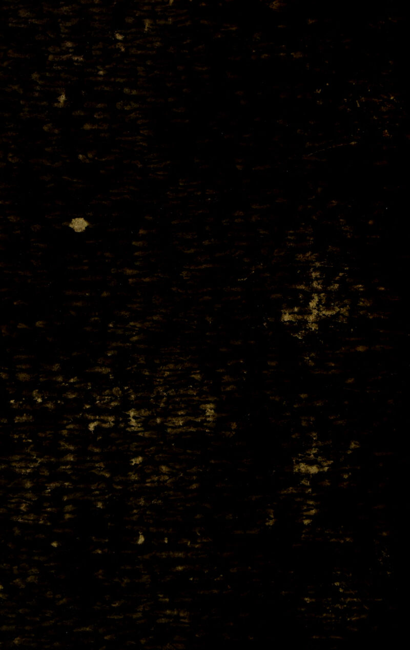 i ,#W * * ' * « >• V f<T * u ■ , . f* • - .,A ^ ^ . ■ - • ^ / ’ *>*