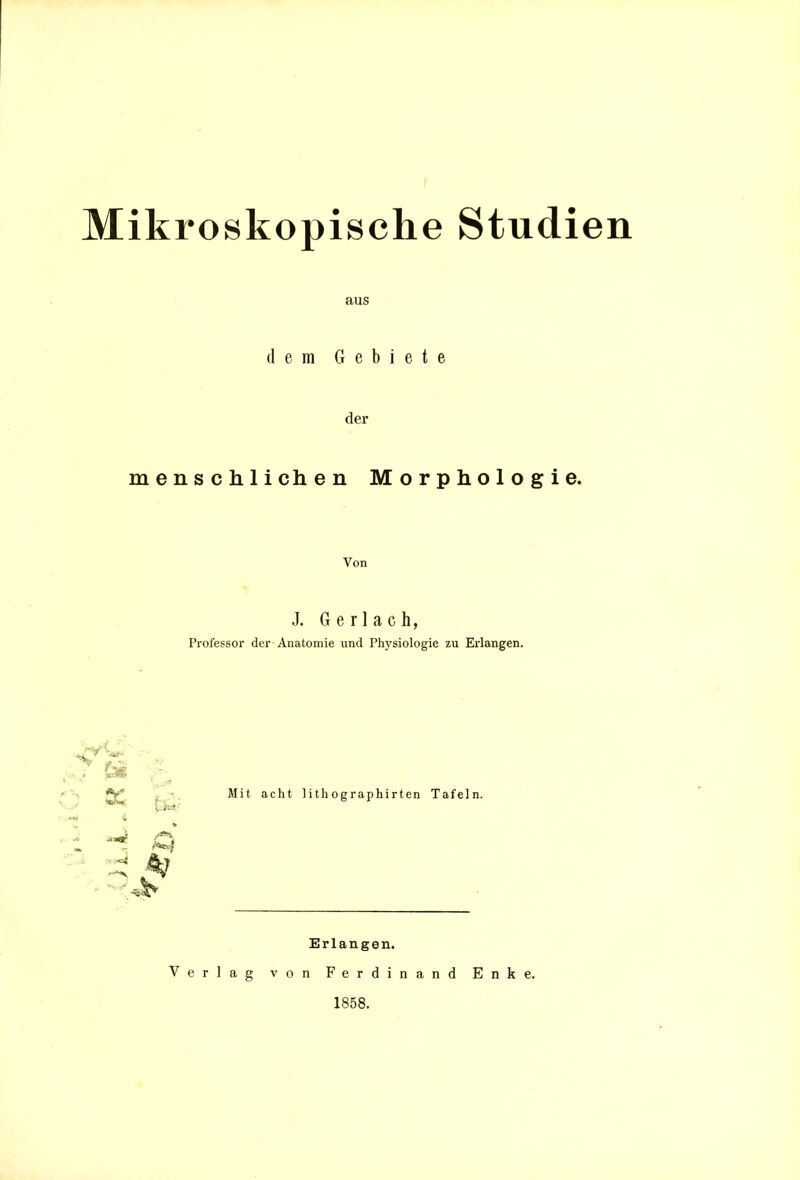 Mikroskopische Studien aus dem Gebiete der menschlichen Morphologie. Von J. G e r 1 a c h, Professor der Anatomie und Physiologie zu Erlangen. ^'-•v Mit acht lith ographirten Tafeln. ''-^ Q Erlangen. Verlag von Ferdinand Enke. 1858.