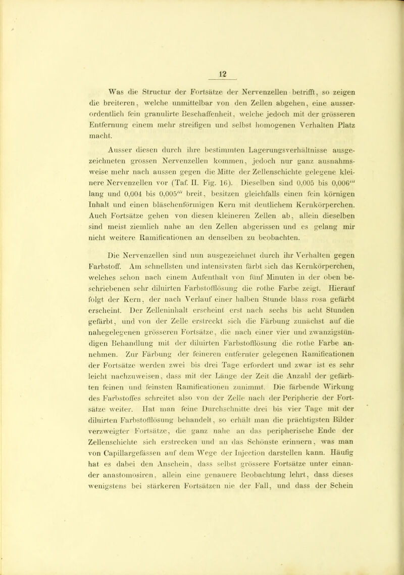 Was die Structur der Fortsätze der Nervenzellen betrifift, so zeigen die breiteren, welche imnüttelbar von den Zellen abgehen, eine ausser- ordentlich fein gramüirte Beschaffenheit, welche jedoch mit der grösseren Entfernung einem mehr streifigen imd selbst homogenen Verhalten Platz macht. Ausser diesen durch ihre bestimmten Lagerungsverhältnisse ausge- zeichneten grossen Nervenzellen kommen, jedoch nm* ganz ausnahms- weise mehr nach aussen gegen die jNlitte der Zellenscliichte gelegene klei- nere Nervenzellen vor (Taf. II. Fig. 16). Dieselben shid 0,005 bis 0,006' lang und 0,004 bis 0,005' breit, besitzen gleichfalls einen fein körnigen Inhalt und einen bläschenförmigen Kern mit deutüchem Kernkörperchen. Auch Fortsätze gehen von diesen kleineren Zellen ab, allein dieselben sind meist ziemUch nahe an den Zellen abgerissen und es gelang mir nicht weitere Ramificationen an denselben zu beobachten. Die Nervenzellen sind nun ausgezeichnet durch ilir Verhalten gegen Farbstoff. Am schnellsten imd intensivsten färbt sich das Kernkörperchen, welches schon nach einem Aufentlialt von fünf Minuten in der oben be- schriebenen sehr diluii'ten Farbstofflösung die rothe Farbe zeigt. Hierauf folgt der Kern, der nach Verlauf einer lialben Stunde blass rosa geiarbt erscheint. Der Zelleninhalt erscheint erst nach sechs bis aclit Stimden gefärbt, und von der Zelle erstreckt sich die Färbung zunächst auf die nahegelegenen grösseren Fortsätze, die nach einer vier und zwanzigstün- digen Behandlung mit der diluirten Farbstofllösung die rotlie Farbe an- nehmen. Zur Färbung der feineren entfernter gelegenen Ramificationen der Fortsätze werden zwei bis drei Tage erfordert und zwar ist es sehr leicht nachzuweisen, dass mit der Länge der Zeit tüe Anzahl der gefärb- ten feinen und feinsten Ramificationen zunimmt. Die färbende Wii-kung des Farbstoffes schreitet also von der Zelle nach der Peripherie der Fort- sätze weiter. Hat man feine Durchschnitte (h-ei bis vier Tage mit der diluirten Farbstofflösung behandelt, so erhält man die prächtigsten Bilder verzweigter Fortsätze, che ganz nalie an das peripherische Ende der Zellenschichte sich erstrecken und an das Schönste erinnern, was man von Capillargefässen auf dem Wege der Lijection darstellen kann. Häufig hat es dabei den Anscliein, dass selbst grössere Fortsätze unter einan- der anastomosircn, allein eine genauere J?eobachtung lehrt, dass dieses wenigstens bei stärkeren Furtsätzen nie der Fall, und dass der Schein