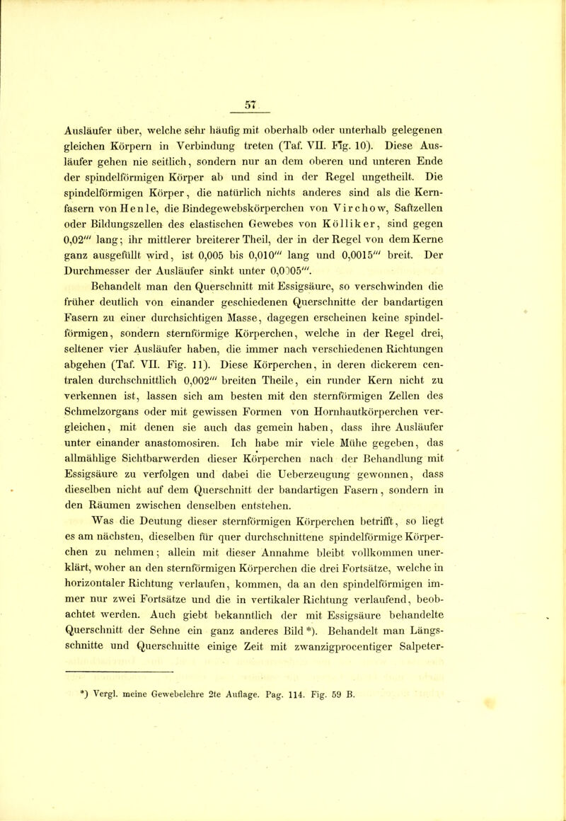Ausläufer über, welche sehr häufig mit oberhalb oder unterhalb gelegenen gleichen Körpern in Verbindung treten (Taf. VE. Flg. 10). Diese Aus- läufer gehen nie seitlich, sondern nur an dem oberen und unteren Ende der spindelförmigen Körper ab und sind in der Regel ungetheilt. Die spindelförmigen Körper, die natürlich nichts anderes sind als die Kern- fasern vonHenle, die Bindegewebskörperchen von Virchow, Saftzellen oder Bildungszellen des elastischen Gewebes von Kölliker, sind gegen 0,02' lang; ihr mittlerer breiterer Theil, der in der Regel von dem Kerne ganz ausgefüllt wh-d, ist 0,005 bis 0,010' lang und 0,0015' breit. Der Durchmesser der Ausläufer sinkt unter 0,0005'. Behandelt man den Querschnitt mit Essigsäure, so verschwinden die früher deutlich von einander geschiedenen Querschnitte der bandartigen Fasern zu einer durchsichtigen Masse, dagegen erscheinen keine spindel- förmigen, sondern sternförmige Körperchen, welche in der Regel drei, seltener vier Ausläufer haben, die immer nach verschiedenen Richtimgen abgehen (Taf VII. Fig. 11). Diese Körperchen, in deren dickerem cen- tralen durchschnittlich 0,002' breiten Theile, ein runder Kern nicht zu verkennen ist, lassen sich am besten mit den sternförmigen Zellen des Schmelzorgans oder mit gewissen Formen von Hornhautkörperchen ver- gleichen, mit denen sie auch das gemein haben, dass ilire Ausläufer unter einander anastomosiren. Ich habe mir viele Mühe gegeben, das allmählige Sichtbarwerden dieser Körperchen nach der Behandlung mit Essigsäure zu verfolgen und dabei die Ueberzeugung gewonnen, dass dieselben nicht auf dem Querschnitt der bandartigen Fasern, sondern in den Räumen zwischen denselben entstehen. Was die Deutung dieser sternförmigen Körperchen betrifft, so liegt es am nächsten, dieselben für quer durchschnittene spindelförmige Körper- chen zu nehmen; allein mit dieser Annahme bleibt vollkommen uner- klärt, woher an den sternförmigen Körperchen die drei Fortsätze, welche in horizontaler Richtung verlaufen, kommen, da an den spindelförmigen im- mer nur zwei Fortsätze und die in vertikaler Richtung verlaufend, beob- achtet werden. Auch giebt bekanntlich der mit Essigsäure behandelte Querschnitt der Sehne ein ganz anderes Bild *). Behandelt man Längs- schnitte und Querschnitte einige Zeit mit zwanzigprocentiger Salpeter- *) Vergl. meine Gewebelehre 2te Auflage. Pag. 114. Fig. 59 B.
