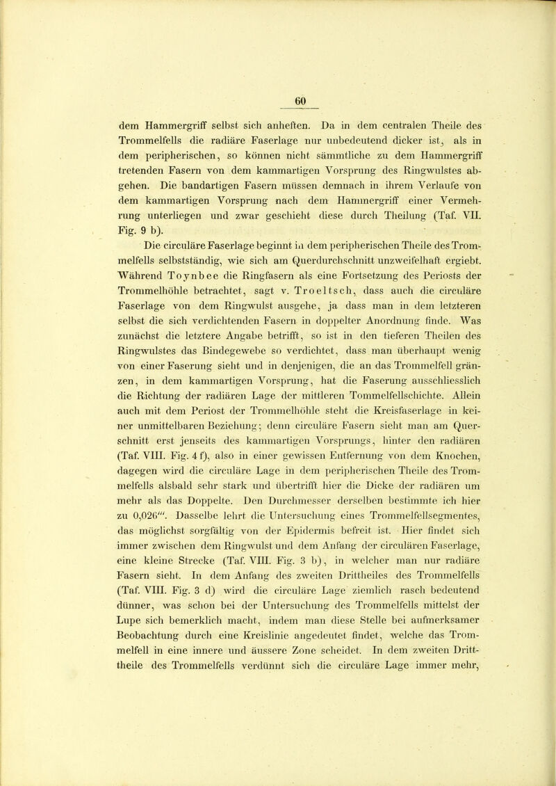 dem Hammergriff selbst sich anheften. Da in dem centralen Tlieile des Trommelfells die radiäre Faserlage nur unbedeutend dicker ist, als in dem peripherischen, so können nicht sämmtliche zu dem Hammergriff tretenden Fasern von dem kammartigen Vorsprung des Ringwulstes ab- gehen. Die bandartigen Fasern müssen demnach in ihrem Verlaufe von dem kammartigen Vorsprung nach dem Hannnergriff einer Vermeh- rung unterliegen und zwar geschieht diese durch Theilung (Taf. VH. Fig. 9 b). Die circuläre Faserlage beginnt in dem peripherischen Theile des Trom- melfells selbstständig, wie sich am Querdurchschnitt unzweifelhaft ergiebt. Während Toynbee die Ringfasern als eine Fortsetzung des Periosts der Trommelliöhle betrachtet, sagt v. Troeltsch, dass auch die circiJäre Faserlage von dem Ringwulst ausgehe, ja dass man in dem letzteren selbst die sich verdichtenden Fasern in doppelter Anordnung finde. Was zunächst die letztere Angabe betrifft, so ist in den tieferen Theilen des Ringwulstes das Bindegewebe so verdichtet, dass man überhaupt wenig von einer Faserung sieht und in denjenigen, die an das Trommelfell grän- zen, in dem kammartigen Vorsprung, hat die Faserung ausschhesslich die Richtung der radiären Lage der mittleren Tommelfellschichte. Allein auch mit dem Periost der Trommelhöhle steht die Kreisfaserlage in kei- ner unmittelbaren Beziehung; denn circuläre Fasern sieht man am Quer- schnitt erst jenseits des kammartigen Vorsprungs, hinter den radiären (Taf VHI. Fig. 4 f), alsO in einer gewissen Entfernung von dem Knochen, dagegen wird die circuläre Lage in dem peripherischen Theile des Trom- melfells alsbald sehr stark und übertrifft hier die Dicke der radiären um mehr als das Doppelte. Den Durchmesser derselben bestimmte ich hier zu 0,02G'. Dasselbe lehrt die Untersuchung eines Trommelfellsegmentes, das möglichst sorgfältig von der Epidermis befreit ist. Hier findet sich immer zwischen dem Ringwulst und dem Anfang der circulären Faserlage, eine kleine Strecke (Taf VHI. Fig. 3 b), in welcher man nur radiäre Fasern sieht. In dem Anfang des zweiten Drittheiles des Ti-ommelfells (Taf VHI. Fig. 3 d) wird die circuläre Lage ziemlich rasch bedeutend dünner, was schon bei der Untersuchung des Trommelfells mittelst der Lupe sich bemerklich macht, indem man diese Stelle bei aufmerksamer Beobachtung durch eine Kreislinie angedeutet findet, welche das Trom- melfell in eine innere und äussere Zone scheidet. In dem zweiten Dritt- theile des Trommelfells verdünnt sich die circuläre Lage immer mehr,