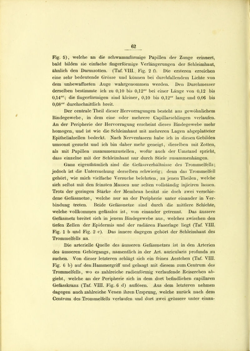 Fig. 5), welche an die schwammförmige Papillen der Zunge erinnert, bald bilden sie einfache fingerförmige Verlängerungen der Schleimliaut, ähnlich den Darmzotten. (Taf. VIII. Fig. 2 f). Die ersteren erreichen eine sehr bedeutende Grösse und können bei durchfallendem Lichte von dem unbewaffneten Auge wahrgenommen werden. Den Durchmesser derselben bestimmte ich zu 0,10 bis 0,12' bei einer Länge von 0,12 bis 0,14'; die fingerförmigen sind kleiner, 0,10 bis 0,12' lang und 0,06 bis 0,08' dm'chschnittlich breit. Der centrale Theil dieser Hervorragungen besteht aus gewöhnlichem Bindegewebe, in dem eine oder mehrere Capillarschlingen verlaufen. An der Peripherie der Hervorragung erscheint dieses Bindegewebe mehr homogen, und ist wie die Sclileimhaut mit mehreren Lagen abgeplatteter Epithelialzellen bedeckt. Nach Nervenfasern habe ich in diesen Gebilden umsonst gesucht und ich bin daher mehr geneigt, dieselben mit Zotten, als mit Papillen zusammenzustellen, wofür auch der Umstand spricht, dass einzelne mit der Schleimhaut nur durch Stiele zusammenhängen. Ganz eigenthümhch sind die Gefässverhältnisse des Tronunelfells; jedoch ist die Untersuchung derselben schwierig; denn das Trommelfell gehört, wie mich vielfache Versuche belehrten, zu jenen Theilen, welche sich selbst mit den feinsten Massen nur selten vollständig injiciren lassen. Trotz der geringen Stärke der Membran besitzt sie doch zwei vei'schie- dene Gefässnetze, welche nur an der Peripherie unter einander in Ver- bindung treten. Beide Gefässnetze sind durch die mittlere Schichte, welche voUkommen gefässlos ist, von einander getrennt. Das äussere Gefässnetz breitet sich in jenem Bmdegewebe aus, welches zwischen den tiefen Zellen der Epidermis und der radiären Faserlage liegt (Taf VIH. Fig. 1 b und Fig. 2 c). Das innere dagegen gehört der Schleimhaut des Trommelfells an. Die arterielle Quelle des äusseren Gefässnetzes ist in den Arterien des äusseren Gehörgangs, namentlich in der Art. auricularis profunda zu suchen. Von dieser letzteren schlägt sich ein feines Aestchen (Taf. VHI. Fig. 6 b) auf den Hammergriff und gelangt mit diesem zum Centrum des Trommelfells, wo es zahlreiche radienförmig verlaufende Reiserchen ab- giebt, welche an der Peripherie sich in dem dort befindlichen capülaren Gefässkranz (Taf. VHI. Fig. 6 d) auflösen. Aus dem letzteren nehmen dagegen auch zahkeiche Venen iliren Ursprung, welche zm'ück nach dem Centrum des Trommelfells verlaufen und dort zwei grössere unter einan-