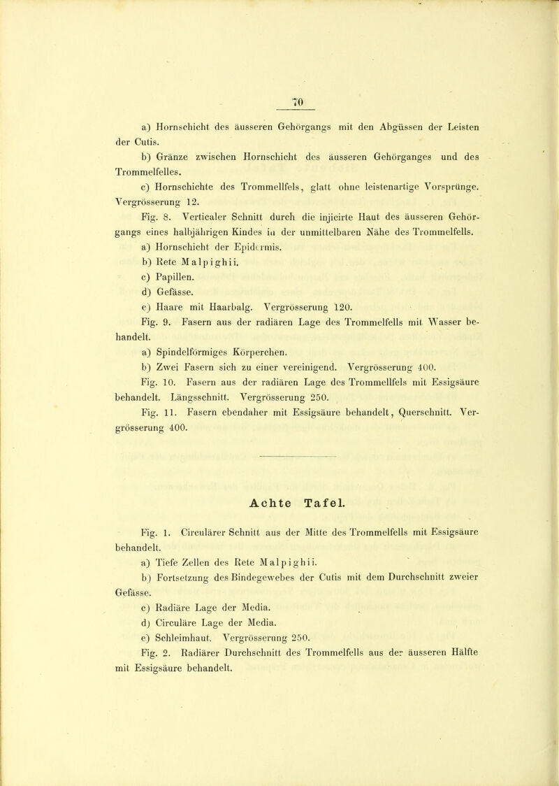 TO a) Hornschicht des äusseren Gehörgangs mit den Abgüssen der Leisten der Cutis. b) Gränze zwischen Hornschicht des äusseren Gehörganges und des Trommelfelles. c) Hornschichte des Trommellfels, glatt ohne leistenartige Vorsprünge. Vergrösserung 12. Fig. 8. Verticaler Schnitt durch die injicirte Haut des äusseren Gehör- gangs eines halbjährigen Kindes in der unmittelbaren Nähe des Trommelfells. a) Hornschicht der Epidermis. b) Rete Malpighii. c) Papillen. d) Gefässe. e) Haare mit Haarbalg. Vergrösserung 120. Fig. 9. Fasern aus der radiären Lage des Trommelfells mit Wasser be- handelt. a) Spindelförmiges Körperchen. b) Zwei Fasern sich zu einer vereinigend. Vergrösserung 400. Fig. 10. Fasern aus der radiären Lage des Trommellfels mit Essigsäure behandelt. Längsschnitt. Vergrösserung 250. Fig. 11. Fasern ebendaher mit Essigsäure behandelt, Querschnitt. Ver- grösserung 400. Achte Tafel. Fig. 1. Circulärer Schnitt aus der Mitte des Trommelfells mit Essigsäure behandelt. a) Tiefe Zellen des Rete Malpighii. b) Fortsetzung des Bindegewebes der Cutis mit dem Durchschnitt zweier Gefässe. c) Radiäre Lage der Media, dj Circuläre Lage der Media. e) Schleimhaut. Vergrösserung 250. Fig. 2. Radiärer Durchschnitt des Trommelfells ans der äusseren Hälfte mit Essigsäure behandelt.