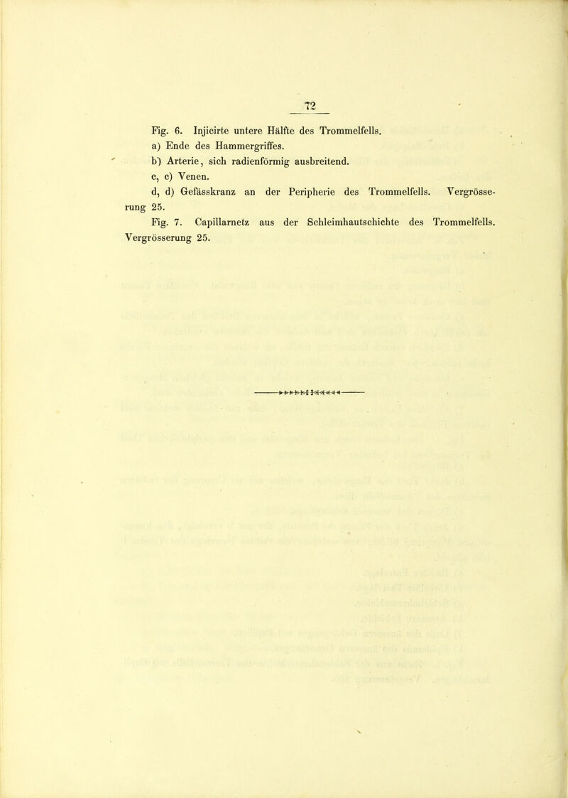 T2 Fig. 6. Injicirte untere Hälfte des Trommelfells. a) Ende des Hammergrififes. b) Arterie, sich radienförmig ausbreitend. c, c) Venen. d, d) Gefässkranz an der Peripherie des Trommelfells. Vergrösse- rung 25. Fig. 7. Capillarnetz aus der Schleimhautschichte des Trommelfells. Vergrösserung 25.