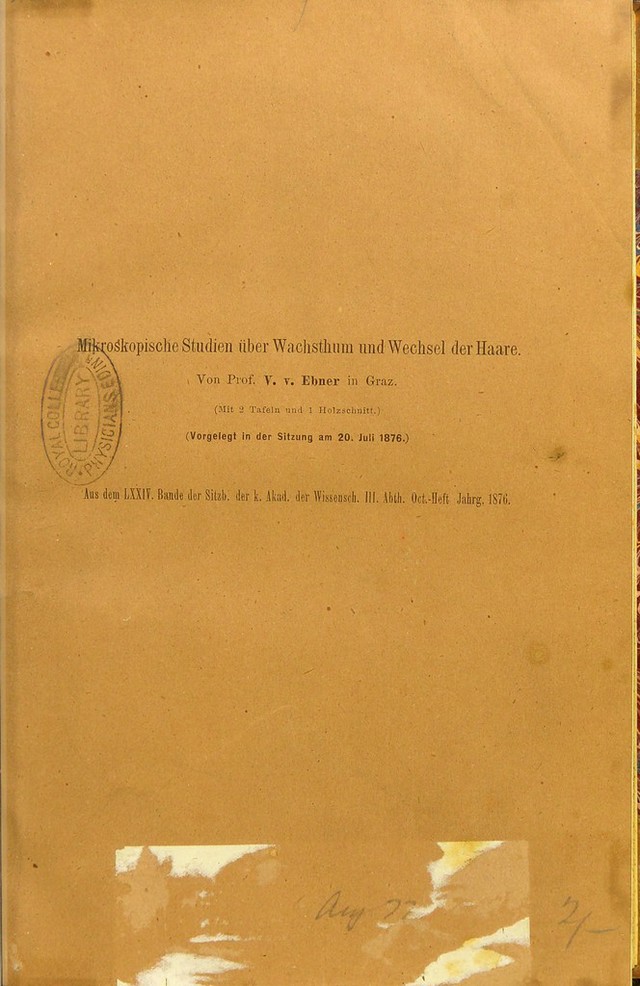 digitised image 3