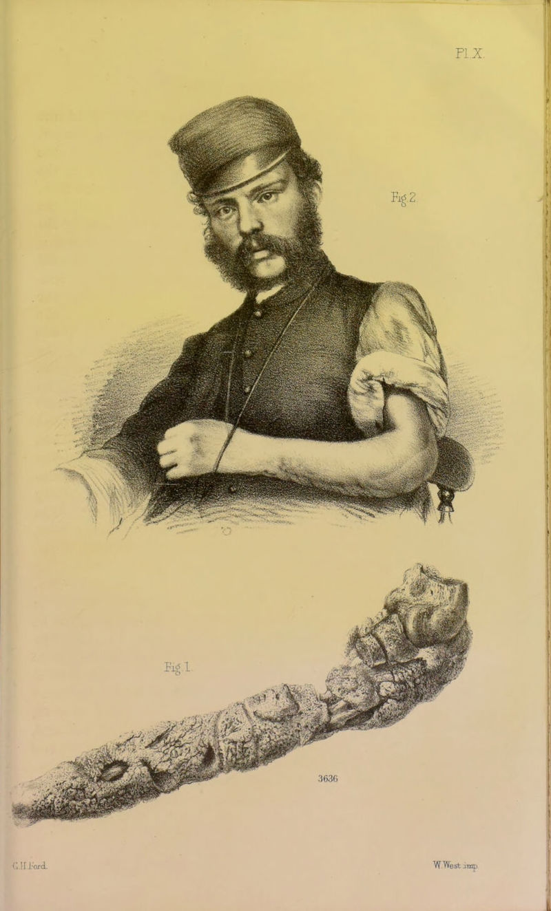 ir i;o/-d.. W West imo