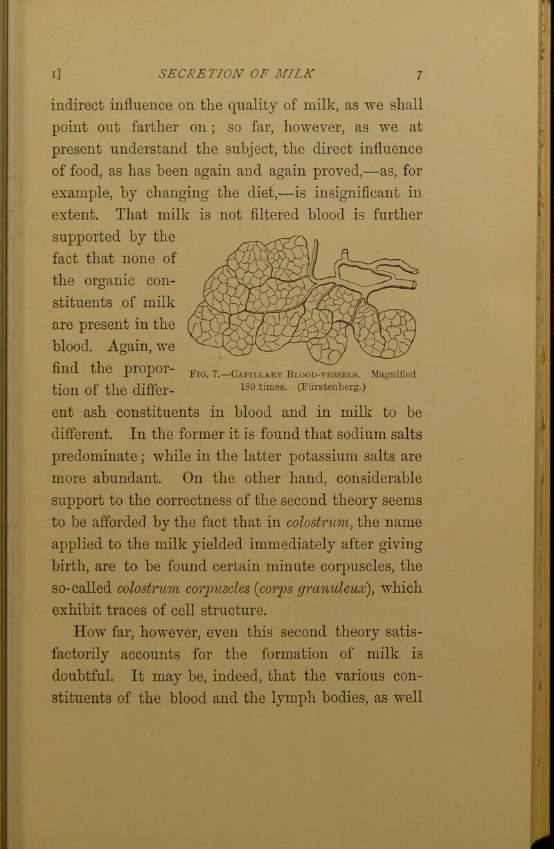 Fig. 7.—Capillary Blood-vessels. Magnified ISO times. (Fiirstenberg.) indirect influence on the quality of milk, as we shall point out farther on ; so far, however, as we at present understand the subject, the direct influence of food, as has been again and again proved,—as, for example, by changing the diet,—is insignificant in extent. That milk is not filtered blood is further supported by the fact that none of the organic con- stituents of milk are present in the blood. Again, wTe find the propor- tion of the differ- ent ash constituents in blood and in milk to be different. In the former it is found that sodium salts predominate; while in the latter potassium salts are more abundant. On the other hand, considerable support to the correctness of the second theory seems to be afforded by the fact that in colostrum, the name applied to the milk yielded immediately after giving birth, are to be found certain minute corpuscles, the so-called colostrum corpuscles {corps grccnuleux), which exhibit traces of cell structure. How far, however, even this second theory satis- factorily accounts for the formation of milk is doubtful. It may be, indeed, that the various con- stituents of the blood and the lymph bodies, as well