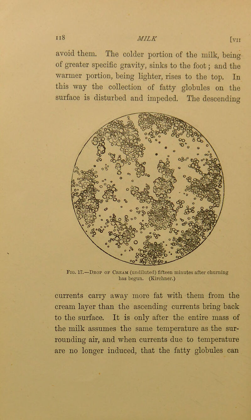 avoid them. The colder portion of the milk, being of greater specific gravity, sinks to the foot; and the warmer portion, being lighter, rises to the top. In this way the collection of fatty globules on the surface is disturbed and impeded. The descending Fig. 17.—Deop of Cream (undiluted) fifteen minutes after churning has begun. (Kirchner.) currents carry away more fat with them from the cream layer than the ascending currents bring back to the surface. It is only after the entire mass of the milk assumes the same temperature as the sur- rounding air, and when currents due to temperature are no longer induced, that the fatty globules can