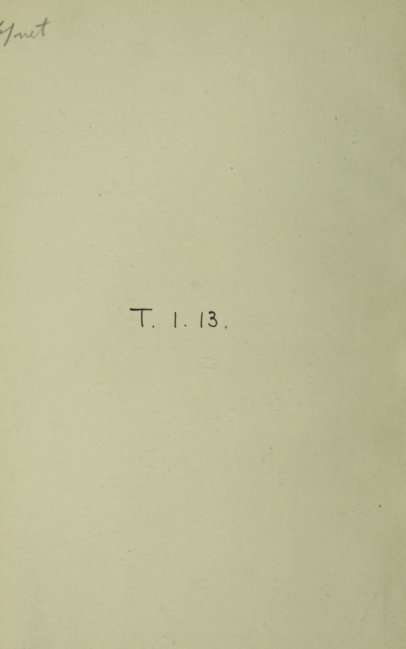 T. I. 13.