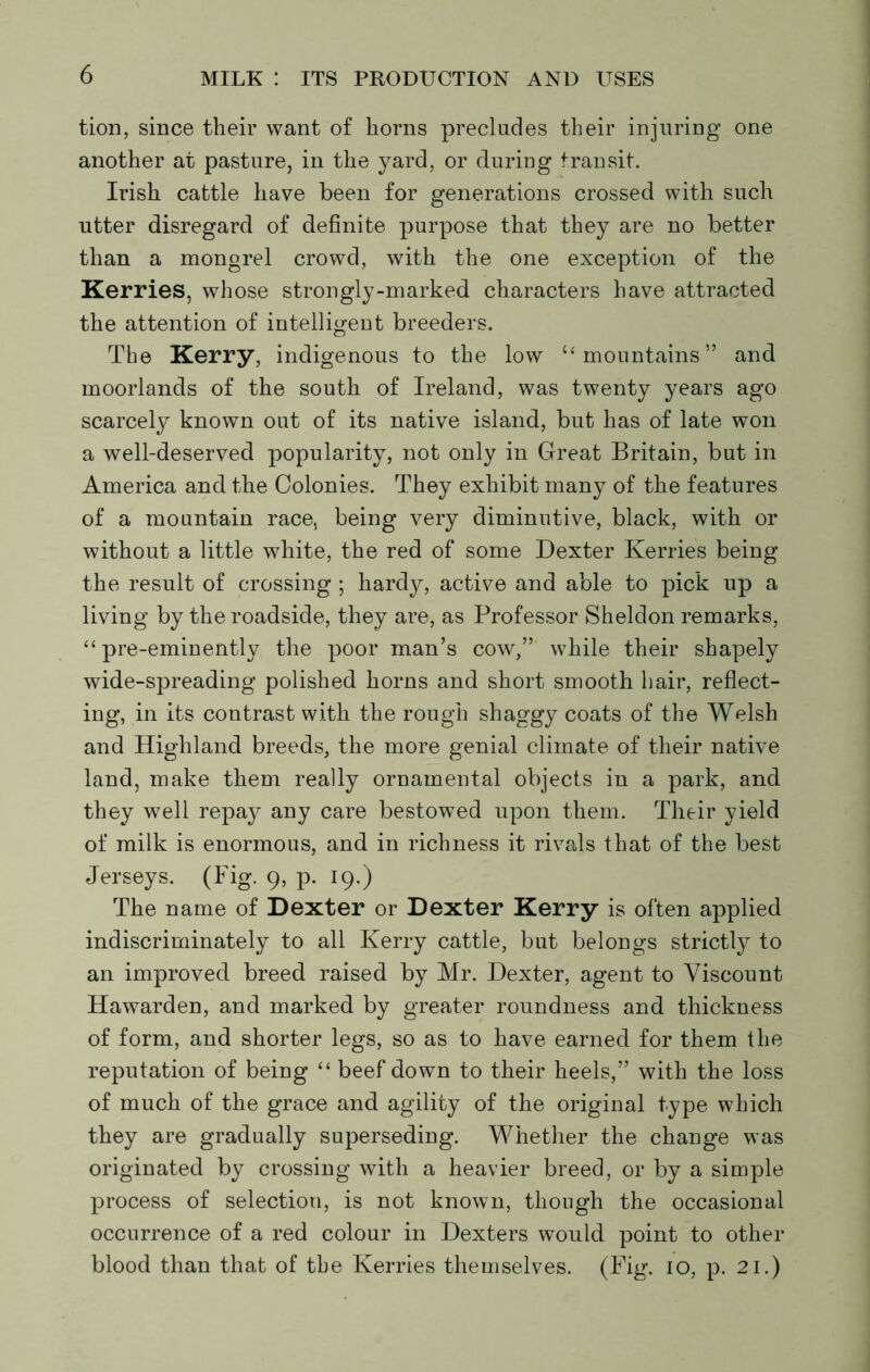 tion, since their want of horns precludes their injuring one another at pasture, in the yard, or during transit. Irish cattle have been for generations crossed with such utter disregard of definite purpose that they are no better than a mongrel crowd, with the one exception of the Kerries, whose strongly-marked characters have attracted the attention of intelligent breeders. The Kerry, indigenous to the low “mountains” and moorlands of the south of Ireland, was twenty years ago scarcely known out of its native island, but has of late won a well-deserved popularity, not only in Great Britain, but in America and the Colonies. They exhibit many of the features of a mountain race, being very diminutive, black, with or without a little white, the red of some Dexter Kerries being the result of crossing ; hardy, active and able to pick up a living by the roadside, they are, as Professor Sheldon remarks, “ pre-eminently the poor man’s cow,” while their shapely wide-spreading polished horns and short smooth hair, reflect- ing, in its contrast with the rough shaggy coats of the Welsh and Highland breeds, the more genial climate of their native land, make them really ornamental objects in a park, and they well repay any care bestowed upon them. Their yield of milk is enormous, and in richness it rivals that of the best Jerseys. (Pig. 9, p. 19.) The name of Dexter or Dexter Kerry is often applied indiscriminately to all Kerry cattle, but belongs strictly to an improved breed raised by Mr. Dexter, agent to Viscount Hawarden, and marked by greater roundness and thickness of form, and shorter legs, so as to have earned for them the reputation of being “ beef down to their heels,” with the loss of much of the grace and agility of the original type which they are gradually superseding. Whether the change was originated by crossing with a heavier breed, or by a simple process of selection, is not known, though the occasional occurrence of a red colour in Dexters would point to other blood than that of tbe Kerries themselves. (Fig. 10, p. 21.)
