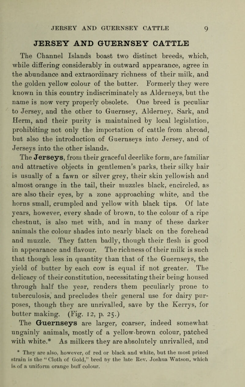 JERSEY AND GUERNSEY CATTLE The Channel Islands boast two distinct breeds, which, while differing considerably in outward appearance, agree in the abundance and extraordinary richness of their milk, and the golden yellow colour of the butter. Formerly they were known in this country indiscriminately as Alderneys, but the name is now very properly obsolete. One breed is peculiar to Jersey, and the other to Guernsey, Alderney, Sark, and Herm, and their purity is maintained by local legislation, prohibiting not only the importation of cattle from abroad, but also the introduction of Guernseys into Jersey, and of Jerseys into the other islands. The Jerseys, from their graceful deerlike form, are familiar and attractive objects in gentlemen’s parks, their silky hair is usually of a fawn or silver grey, their skin yellowish and almost orange in the tail, their muzzles black, encircled, as are also their eyes, by a zone approaching white, and the horns small, crumpled and yellow with black tips. Of late years, however, every shade of brown, to the colour of a ripe chestnut, is also met with, and in many of these darker animals the colour shades into nearly black on the forehead and muzzle. They fatten badly, though their flesh is good in appearance and flavour. The richness of their milk is such that though less in quantity than that of the Guernseys, the yield of butter by each cow is equal if not greater. The delicacy of their constitution, necessitating their being housed through half the year, renders them peculiarly prone to tuberculosis, and precludes their general use for dairy pur- poses, though they are unrivalled, save by the Kerrys, for butter making. (Fig. 12, p. 25.) The Guernseys are larger, coarser, indeed somewhat ungainly animals, mostly of a yellow-brown colour, patched with white.* As milkers they are absolutely unrivalled, and * They are also, however, of red or black and white, but the most prized strain is the “Cloth of Gold,” bred by the late Rev. Joshua Watson, which ia of a uniform orange buff colour.