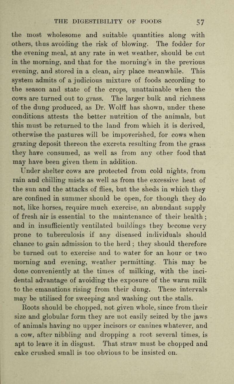 the most wholesome and suitable quantities along with others, thus avoiding the risk of blowing. The fodder for the evening meal, at any rate in wet weather, should be cut in the morning, and that for the morning’s in the previous evening, and stored in a clean, airy place meanwhile. This system admits of a judicious mixture of foods according to the season and state of the crops, unattainable when the cows are turned out to grass. The larger bulk and richness of the dung produced, as Dr. Wolff has shown, under these conditions attests the better nutrition of the animals, but this must be returned to the land from which it is derived, otherwise the pastures will be impoverished, for cows when grazing deposit thereon the excreta resulting from the grass they have consumed, as well as from any other food that may have been given them in addition. Under shelter cows are protected from cold nights, from rain and chilling mists as well as from the excessive heat of the sun and the attacks of flies, but the sheds in which they are confined in summer should be open, for though they do not, like horses, require much exercise, an abundant supply of fresh air is essential to the maintenance of their health; and in insufficiently ventilated buildings they become very prone to tuberculosis if any diseased individuals should chance to gain admission to the herd ; they should therefore be turned out to exercise and to water for an hour or two morning and evening, weather permitting. This may be done conveniently at the times of milking, with the inci- dental advantage of avoiding the exposure of the warm milk to the emanations rising from their dung. These intervals may be utilised for sweeping and washing out the stalls. Roots should be chopped, not given whole, since from their size and globular form they are uot easily seized by the jaws of animals having no upper incisors or canines whatever, and a cow, after nibbling and dropping a root several times, is apt to leave it in disgust. That straw must be chopped and cake crushed small is too obvious to be insisted on.