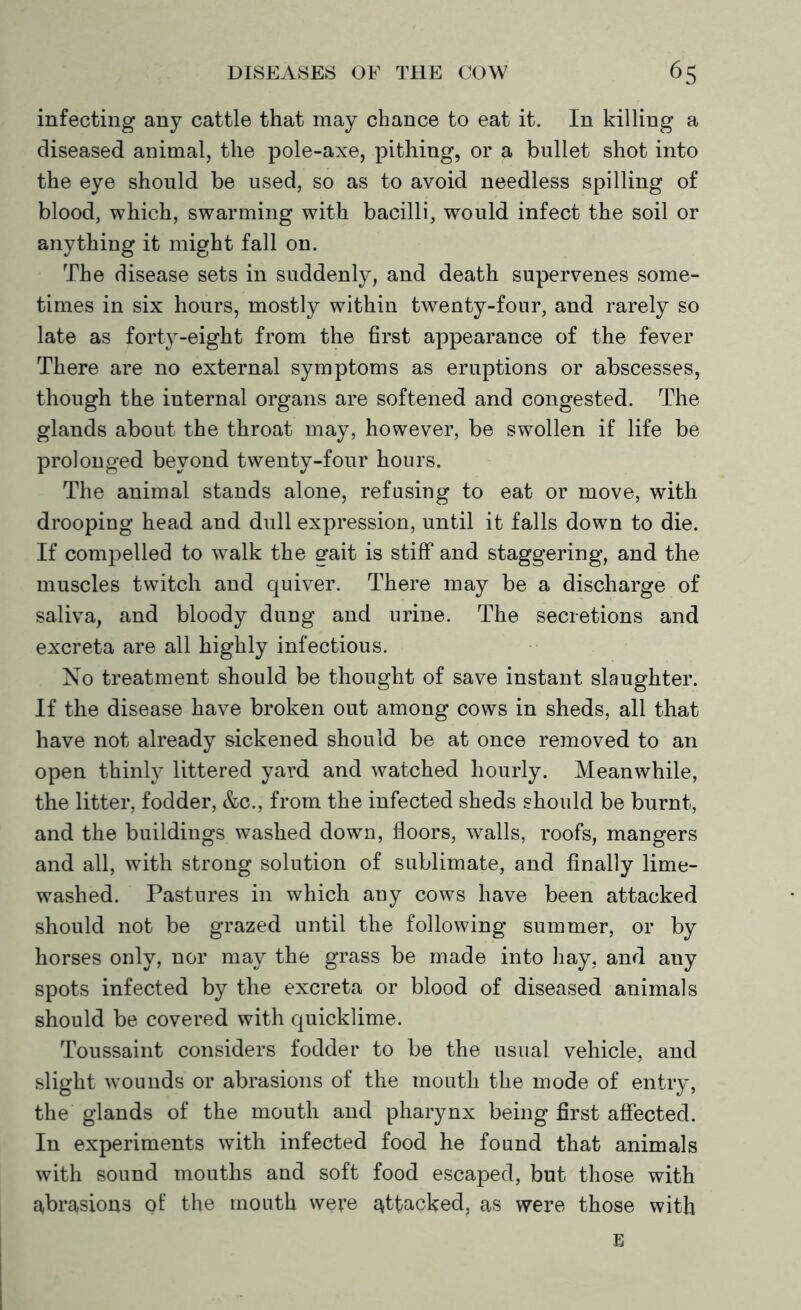 infecting any cattle that may chance to eat it. In killing a diseased animal, the pole-axe, pithing, or a bullet shot into the eye should be used, so as to avoid needless spilling of blood, which, swarming with bacilli, would infect the soil or anything it might fall on. The disease sets in suddenly, and death supervenes some- times in six hours, mostly within twenty-four, and rarely so late as forty-eight from the first appearance of the fever There are no external symptoms as eruptions or abscesses, though the internal organs are softened and congested. The glands about the throat may, however, be swollen if life be prolonged beyond twenty-four hours. The animal stands alone, refusing to eat or move, with drooping head and dull expression, until it falls down to die. If compelled to walk the gait is stiff and staggering, and the muscles twitch and quiver. There may be a discharge of saliva, and bloody dung and urine. The secretions and excreta are all highly infectious. No treatment should be thought of save instant slaughter. If the disease have broken out among cows in sheds, all that have not already sickened should be at once removed to an open thinly littered yard and watched hourly. Meanwhile, the litter, fodder, &c., from the infected sheds should be burnt, and the buildings washed down, floors, walls, roofs, mangers and all, with strong solution of sublimate, and finally lime- washed. Pastures in which any cows have been attacked should not be grazed until the following summer, or by horses only, nor may the grass be made into hay, and any spots infected by the excreta or blood of diseased animals should be covered with quicklime. Toussaint considers fodder to be the usual vehicle, and slight wounds or abrasions of the mouth the mode of entry, the glands of the mouth and pharynx being first affected. In experiments with infected food he found that animals with sound mouths and soft food escaped, but those with abrasions of the mouth were attacked, as were those with E