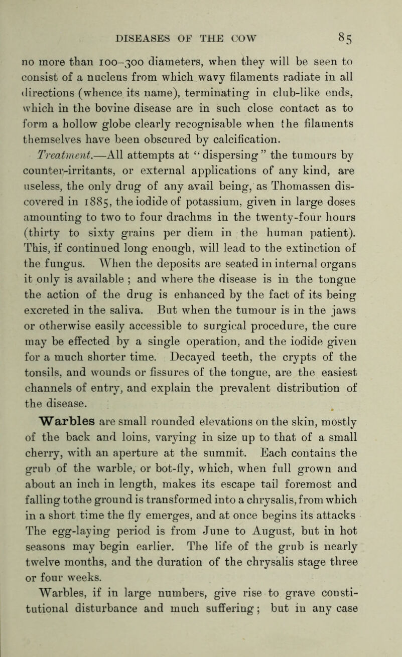 no more than 100-300 diameters, when they will be seen to consist of a nucleus from which wavy filaments radiate in all directions (whence its name), terminating in club-like ends, which in the bovine disease are in such close contact as to form a hollow globe clearly recognisable when (he filaments themselves have been obscured by calcification. Treatment.—All attempts at ‘‘dispersing” the tumours by counter-irritants, or external applications of any kind, are useless, the only drug of any avail being, as Thomassen dis- covered in 1885, the iodide of potassium, given in large doses amounting to two to four drachms in the twenty-four hours (thirty to sixty grains per diem in the human patient). This, if continued long enough, will lead to the extinction of the fungus. When the deposits are seated in internal organs it only is available ; and where the disease is in the tongue the action of the drug is enhanced by the fact of its being excreted in the saliva. But when the tumour is in the jaws or otherwise easily accessible to surgical procedure, the cure may be effected by a single operation, and the iodide given for a much shorter time. Decayed teeth, the crypts of the tonsils, and wounds or fissures of the tongue, are the easiest channels of entry, and explain the prevalent distribution of the disease. Warbles are small rounded elevations on the skin, mostly of the back and loins, varying in size up to that of a small cherry, with an aperture at the summit. Each contains the grub of the warble, or bot-fly, which, when full grown and about an inch in length, makes its escape tail foremost and falling to the ground is transformed into a chrysalis, from which in a short time the fly emerges, and at once begins its attacks The egg-laying period is from June to August, but in hot seasons may begin earlier. The life of the grub is nearly twelve months, and the duration of the chrysalis stage three or four weeks. Warbles, if in large numbers, give rise to grave consti- tutional disturbance and much suffering; but in any case