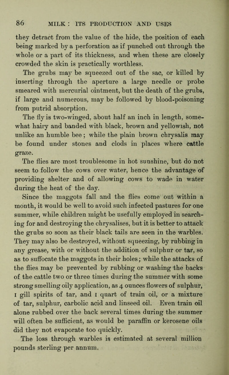 they detract from the value of the hide, the position of each being marked by a perforation as if punched out through the whole or a part of its thickness, and when these are closely crowded the skin is practically worthless. The grubs may be squeezed out of the sac, or killed by inserting through the aperture a large needle or probe smeared with mercurial ointment, but the death of the grubs, if large and numerous, may be followed by blood-poisoning from putrid absorption. The fly is two-winged, about half an inch in length, some- what hairy and banded with black, brown and yellowish, not unlike an humble bee; while the plain brown chrysalis may be found under stones and clods in places where cattle graze. The flies are most troublesome in hot sunshine, but do not seem to follow the cows over water, hence the advantage of providing shelter and of allowing cows to wade in water during the heat of the day. Since the maggots fall and the flies come out within a month, it would be well to avoid such infected pastures for one summer, while children might be usefully employed in search- ing for and destroying the chrysalises, but it is better to attack the grubs so soon as their black tails are seen in the warbles. They may also be destroyed, without squeezing, by rubbing in any grease, with or without the addition of sulphur or tar, so as to suffocate the maggots in their holes; while the attacks of the flies may be prevented by rubbing or washing the backs of the cattle two or three times during the summer with some strong smelling oily application, as 4 ounces flowers of sulphur, 1 gill spirits of tar, and 1 quart of train oil, or a mixture of tar, sulphur, carbolic acid and linseed oil. Even train oil alone rubbed over the back several times during the summer will often be sufficient, as would be paraffin or kerosene oils did they not evaporate too quickly. The loss through warbles is estimated at several million pounds sterling per annum.