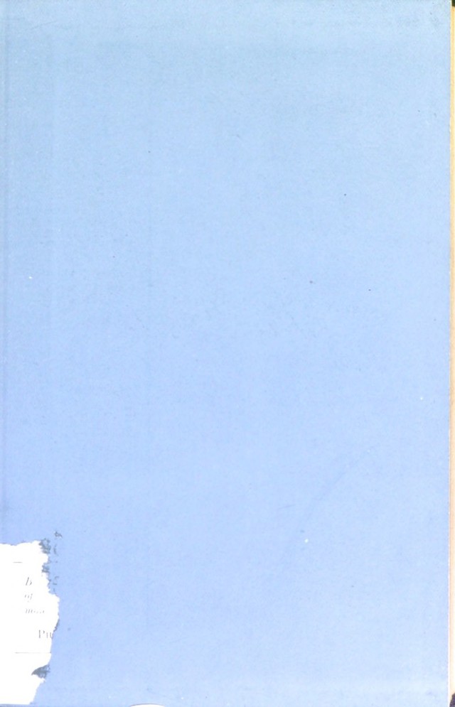 digitised image 3