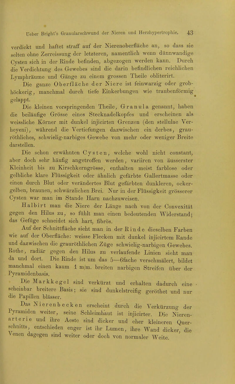 verdickt und haftet straff auf der Nierenoberfläche an, so dass sie selten ohne Zerreissung der letzteren, namentlich wenn dünnwandige Cysten sich in der Rinde befinden, abgezogen werden kann. Durch die Verdichtung des Gewebes sind die darin befindlichen reichlichen Lymphrcäume und Gänge zu einem grossen Theile obliterirt. Die ganze Oberfläche der Niere ist feinwarzig oder grob- höckerig, manchmal durch tiefe Einkerbungen wie traubenförmig gelappt. Die kleinen vorspringenden Theile, Granula genannt, haben die beiläufige Grösse eines Stecknadelkopfes und erscheinen als weissliche Körner mit dunkel injicirten Grenzen (den stellulae Ver- heyeni), während die Vertiefungen dazwischen ein derbes, grau- röthliches, schwielig-narbiges Gewebe von mehr oder weniger Breite darstellen. Die schon erwähnten Cysten, welche wohl nicht constant, aber doch sehr häufig angetrofi*en werden, variiren von äusserster Kleinheit bis zu Kirschkerngrösse, enthalten meist farblose oder gelbliche klare Flüssigkeit oder ähnlich gefärbte Gallertmasse oder einen durch Blut oder verändertes Blut gefärbten dunkleren, ocker- gelben, braunen, schwärzlichen Brei. Nur in der Flüssigkeit grösserer Cysten war man im Stande Harn nachzuweisen. Halbirt man die Niere der Länge nach von der Convexität gegen den Hilus zu, so fühlt man einen bedeutenden Widerstand; das Gefüge schneidet sich hart, fibrös. Auf der Schnittfläche sieht man in der Rinde dieselben Farben wie auf der Oberfläche: weisse Flecken mit dunkel injicirtem Rande und dazwischen die grauröthlichen Züge schwielig-narbigen Gewebes. Rothe, radiär gegen den Hilus zu verlaufende Linien sieht man da und dort. Die Rinde ist um das 5—ßfache verschmälert, bildet manchmal einen kaum 1 m/m. breiten narbigen Streifen über der Pyramidenbasis. Die Markkegel sind verkürzt und erhalten dadurch eine scheinbar breitere Basis; sie sind dunkelstreifig geröthet und nur die Papillen blässer. Das Nierenbecken erscheint durch die Verkürzung der Pyramiden weiter, seine Schleimhaut ist injicirter. Die Nieren- arterie und ihre Aeste sind dicker und eher kleineren Quer- schnitts, entschieden enger ist ihr Lumen, ihre Wand dicker die Venen dagegen sind weiter oder doch von normaler Weite