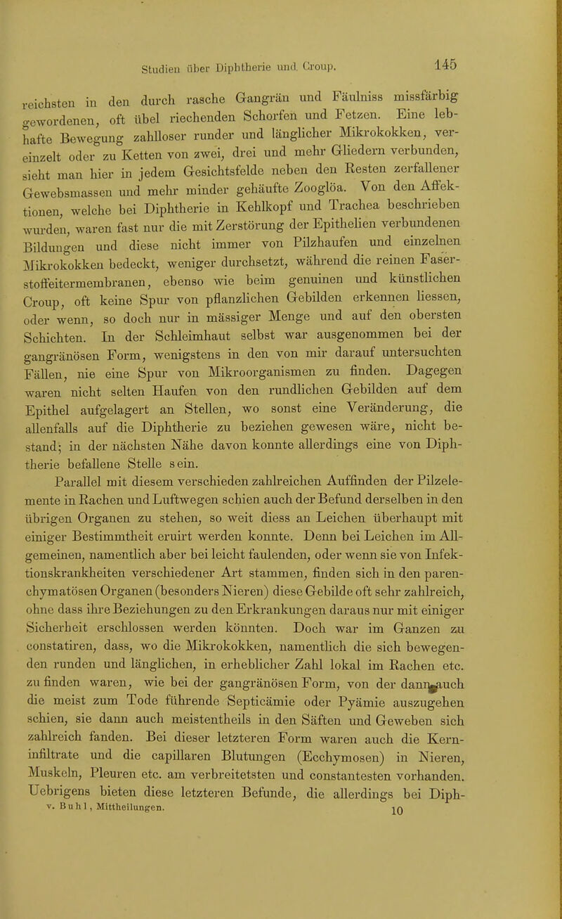 reichsten in den durch rasche Gangrän und Fäulniss missfärbig gewordenen, oft übel riechenden Schorfen und Fetzen. Eine leb- hafte Bewegung zahlloser runder und länglicher Mikrokokken, ver- einzelt oder zu Ketten von zwei, drei und mehr Gliedern verbunden, sieht man hier in jedem Gesichtsfelde neben den Resten zerfaUener Gewebsmassen und mehr minder gehäufte Zooglöa. Von den Affek- tionen, welche bei Diphtherie in Kehlkopf und Trachea beschrieben wurden, waren fast nur die mit Zerstörung der EpitheHen verbundenen Bildungen und diese nicht immer von Pilzhaufen und einzelnen Miki'okokken bedeckt, weniger durchsetzt, während die reinen Faser- stoffeitermembranen, ebenso wie beim genuinen und künstlichen Croup, oft keine Spur von pflanzlichen Gebilden erkennen Hessen, oder wenn, so doch nur in massiger Menge und auf den obersten Schichten. In der Schleimhaut selbst war ausgenommen bei der gangränösen Form, wenigstens in den von mir darauf untersuchten Fällen, nie eine Spur von Mikroorganismen zu finden. Dagegen waren nicht selten Haufen von den rundhchen Gebilden auf dem Epithel aufgelagert an Stellen, wo sonst eine Veränderung, die allenfalls auf die Diphtherie zu beziehen gewesen wäre, nicht be- stand; in der nächsten Nähe davon, konnte allerdings eine von Diph- therie befallene Stelle sein. Parallel mit diesem verschieden zahlreichen Auffinden der Pilzele- mente in Rachen und Luftwegen schien auch der Befund derselben in den übrigen Organen zu stehen, so weit diess an Leichen überhaupt mit einiger Bestimmtheit eruirt werden konnte. Denn bei Leichen im All- gemeinen, namentlich aber bei leicht faulenden, oder wenn sie von Infek- tionskrankheiten verschiedener Art stammen, finden sich in den paren- chymatösen Organen (besonders Nieren) diese Gebilde oft sehr zahlreich, ohne dass ihre Beziehungen zu den Erkrankungen daraus nur mit einiger Sicherheit erschlossen werden könnten. Doch war im Ganzen zu constatiren, dass, wo die Mikrokokken, namenthch die sich bewegen- den runden und länglichen, in erhebHcher Zahl lokal im Rachen etc. zu finden waren, wie bei der gangränösen Form, von der dani^uch die meist zum Tode führende Septicämie oder Pyämie auszugehen schien, sie dann auch meistentheils in den Säften und Geweben sich zahlreich fanden. Bei dieser letzteren Form waren auch die Kern- infiltrate und die capillaren Blutungen (Ecchymosen) in Nieren, Muskeln, Pleuren etc. am verbreitetsten und constantesten vorhanden. Uebrigens bieten diese letzteren Befunde, die allerdings bei Diph- V. Buhl , Mittheilungen. in