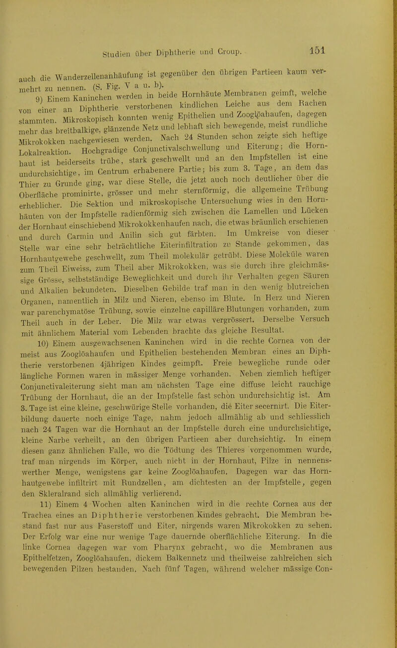 auch die Wanderzellenanhäufung ist gegenüber den übrigen Partieen kaum ver- ''^91 EirnTKaninchen werden in beide Hornhäute Membranen geimft, welche von einer an Diphtherie verstorbenen kindlichen Leiche aus dem Rachen stammten. Mikroskopisch konnten wenig Epithelien und Zoogköahaufen, dagegen Lhr das breitbalkige, glänzende Netz und lebhaft sich bewegende, meist rundhche Mikrokokken nachgewiesen werden. Nach 24 Stunden schon zeigte sich heftige Lokalreaktion. Hochgradige Conjunctivalschwellung und Eiterung; die Horn- haut ist beiderseits trübe, stark geschwellt und an den Impfstellen ist eine undurchsichtige, im Centrum erhabenere Partie; bis zum 3 Tage, an dem das Thier zu Grunde ging, war diese Stelle, die jetzt auch noch deutlicher über die Oberfläche prominirte, grösser und mehr sternförmig, die allgemeine Trul^ung erheblicher Die Sektion und mikroskopische Untersuchung wies in den Horn- häuten von der Impfstelle radienförmig sich zwischen die Lamellen und Lücken der Hornhaut einschiebend Mikrokokkenhaufen nach, die etwas bräunlich erschienen und durch Carmin und Anilin sich gut färbten. Im Umkreise von dieser Stelle war eine sehr beträchtliche Eiterinfiitration zu Stande gekommen, das Hornhautyewebe geschwellt, zum Theil molekular getrübt. Diese Moleküle waren zum Theil Eiweiss, zum Theil aber Mikrokokken, was sie durch ihre gleichmäs- sige Grösse, selbstständige Bewegüchkeit und durch ihr Verhalten gegen Säuren und Alkalien bekundeten. Dieselben Gebilde traf man in den wenig blutreichen Organen, namenthch in Milz und Nieren, ebenso im Blute. In Herz und Nieren war parenchymatöse Trübung, sowie einzelne capilläre Blutungen vorhanden, zum Theil auch in der Leber. Die Milz war etwas vergrössert. Derselbe Versuch mit ähnlichem Material vom Lebenden brachte das gleiche Resultat. 10) Einem ausgewachsenen Kaninchen wird in die rechte Cornea von der meist aus Zooglöahaufen und Epithelien bestehenden Membran eines an Diph- therie verstorbenen 4jährigen Kindes geimpft. Freie beweghche runde oder länghche Formen waren in massiger Menge vorhanden. Neben ziemlich heftiger Conjunctivaleiterung sieht mau am nächsten Tage eine diffuse leicht rauchige Trübung der Hornhaut, die an der Impfstelle fast schon undurchsichtig ist. Am 3. Tage ist eine kleine, geschwürige Stelle vorhanden, die Eiter secernirt. Die Eiter- bildung dauerte noch einige Tage, nahm jedoch allmählig ab und schliesslich nach 24 Tagen war die Hornhaut an der Impfstelle durch eine undurchsichtige, kleine Narbe verheilt, an den übrigen Partieen aber dui'chsichtig. In eineni diesen ganz ähnlichen Falle, wo die Tödtung des Thieres vorgenommen wurde, traf man nirgends im Körper, auch nicht in der Hornhaut, Pilze in nennens- werther Menge, wenigstens gar keine Zooglöahaufen. Dagegen war das Horn- hautgewebe infiltrirt mit Rundzellen, am dichtesten an der Impfstelle, gegen den Skleralrand sich allmählig verlierend. 11) Einem 4 Wochen alten Kaninchen wird in die rechte Cornea aus der Trachea eines an Diphtherie verstorbenen Kindes gebracht. Die Membran be- stand fast nur aus Faserstoff und Eiter, nirgends waren Mikrokokken zu sehen. Der Erfolg war eine nur wenige Tage dauernde oberflächliche Eiterung. In die linke Cornea dagegen war vom Pharynx gebracht, wo die Membranen aus Epithelfetzen, Zooglöahaufen, dickem Balkennetz und theilweise zahlreichen sich bewegenden Pilzen bestanden. Nach fünf Tagen, während welcher massige Con-