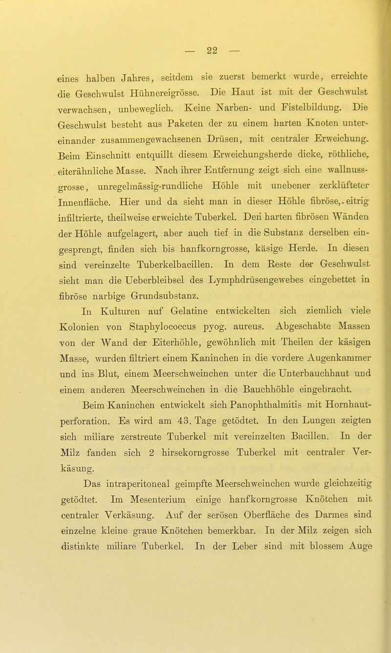eines halben Jahres, seitdem sie zuerst bemerkt wurde, erreichte die Geschwulst Hühnereigrösse. Die Haut ist mit der Geschwulst verwachsen, unbeweglich. Keine Narben- und Fistelbildung. Die Geschwulst besteht aus Paketen der zu einem harten Knoten unter- einander zusammengewachsenen Drüsen, mit centraler Erweichung. Beim Einschnitt entquillt diesem Erweichungsherde dicke, röthliche,. eiterähnliche Masse. Nach ihrer Entfernung zeigt sich eine wallnuss- grosse, unregelmässig-rundliche Höhle mit unebener zerklüfteter Innenfläche. Hier und da sieht man in dieser Höhle fibröse,, eitrig infiltrierte, theilweise erweichte Tuberkel. Den harten fibrösen Wänden der Höhle aufgelagert, aber auch tief in die Substanz derselben ein- gesprengt, finden sich bis hanfkorngrosse, käsige Herde. In diesen sind vereinzelte Tuberkelbacillen. In dem Reste der Geschwulst sieht man die Ueberbleibsel des Lymphdrüsengewebes eingebettet in fibröse narbige Grundsubstanz. In Kulturen auf Gelatine entwickelten sich ziemlich viele Kolonien von Staphylococcus pyog. aureus. Abgeschabte Massen von der Wand der Eiterhöhle, gewöhnlich mit Theilen der käsigen Masse, wurden filtriert einem Kaninchen in die vordere Augenkammer und ins Blut, einem Meerschweinchen unter die Unterbauchhaut und einem anderen Meerschweinchen in die Bauchhöhle eingebracht. Beim Kaninchen entwickelt sich Panophthalmitis mit Hornhaut- perforation. Es wird am 43. Tage getödtet. In den Lungen zeigten sich miliare zerstreute Tuberkel mit vereinzelten Bacillen. In der Milz fanden sich 2 hirsekorngrosse Tuberkel mit centraler Ver- käsung. Das intraperitoneal geimpfte Meerschweinchen wurde gleichzeitig getödtet. Im Mesenterium einige hanfkorngrosse Knötchen mit centraler Verkäsung. Auf der serösen Oberfläche des Darmes sind einzelne kleine graue Knötchen bemerkbar. In der Milz zeigen sich distinkte miliare Tuberkel. In der Leber sind mit blossem Auge