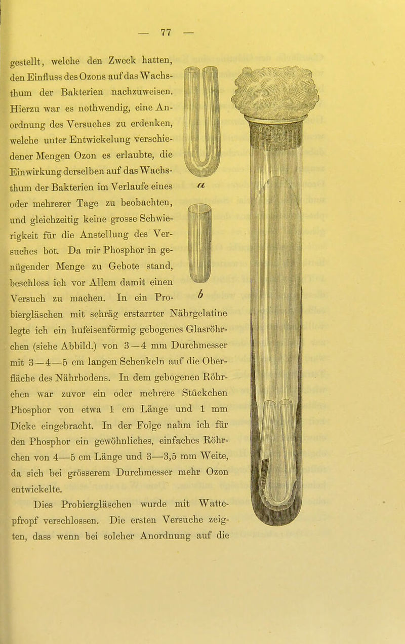 a gestellt, welche den Zweck hatten, den Einfluss des Ozons auf das Wachs- thum der Bakterien nachzuweisen. Hierzu war es nothwendig, eine An- ordnung des Versuches zu erdenken, welche unter Entwickelung verschie- dener Mengen Ozon es erlaubte, die Einwirkung derselben auf das Wachs- thum der Bakterien im Verlaufe eines oder mehrerer Tage zu beobachten, und gleichzeitig keine grosse Schwie- rigkeit für die Anstellung des Ver- suches bot. Da mir Phosphor in ge- nügender Menge zu Gebote stand, beschloss ich vor Allem damit einen Versuch zu machen. In ein Pro- ^ biergläschen mit schräg erstarrter Nährgelatine legte ich ein hufeisenförmig gebogenes Glasröhr- chen (siehe Abbild.) von 3—4 mm Durchmesser mit 3—4—5 cm langen Schenkeln auf die Ober- fläche des Nährbodens. In dem gebogenen Röhr- chen war zuvor ein oder mehrere Stückchen Phosphor von etwa 1 cm Länge und 1 mm Dicke eingebracht. In der Folge nahm ich fin- den Phosphor ein gewöhnliches, einfaches Röhr- chen von 4—5 cm Länge und 3—3,5 mm Weite, da sich bei grösserem Durchmesser mehr Ozon entwickelte. Dies Probiergläschen wurde mit Watte- pfropf verschlossen. Die ersten Versuche zeig- ten, dass wenn bei solcher Anordnung auf die