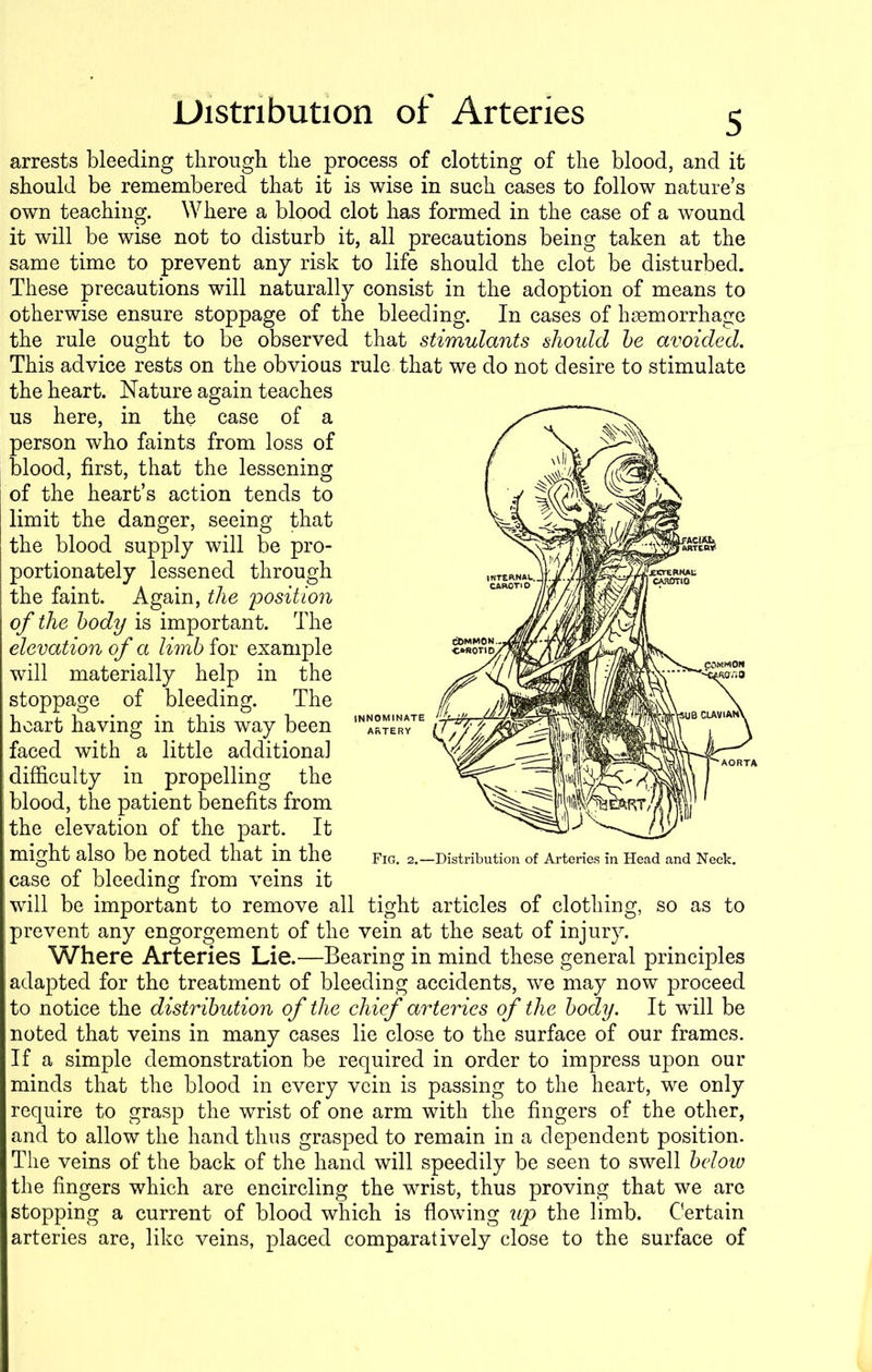 arrests bleeding through the process of clotting of the blood, and it should be remembered that it is wise in such cases to follow nature’s own teaching. Where a blood clot has formed in the case of a wound it will be wise not to disturb it, all precautions being taken at the same time to prevent any risk to life should the clot be disturbed. These precautions will naturally consist in the adoption of means to otherwise ensure stoppage of the bleeding. In cases of haemorrhage the rule ought to be observed that stimulants should be avoided. This advice rests on the obvious rule that we do not desire to stimulate the heart. Nature again teaches us here, in the case of a person who faints from loss of blood, first, that the lessening of the heart’s action tends to limit the danger, seeing that the blood supply will be pro- portionately lessened through the faint. Again, the position of the body is important. The elevation of a limb for example will materially help in the stoppage of bleeding. The heart having in this way been faced with a little additional difficulty in propelling the blood, the patient benefits from the elevation of the part. It might also be noted that in the Fig. 2.—Distribution of Arteries in Head and Neck. case of bleeding from veins it will be important to remove all tight articles of clothing, so as to prevent any engorgement of the vein at the seat of injury. Where Arteries Lie.—Bearing in mind these general principles adapted for the treatment of bleeding accidents, we may now proceed to notice the distribution of the chief arteries of the body. It will be noted that veins in many cases lie close to the surface of our frames. If a simple demonstration be required in order to impress upon our minds that the blood in every vein is passing to the heart, we only require to grasp the wrist of one arm with the fingers of the other, and to allow the hand thus grasped to remain in a dependent position. The veins of the back of the hand will speedily be seen to swell below the fingers which are encircling the wrist, thus proving that we are stopping a current of blood which is flowing up the limb. Certain arteries are, like veins, placed comparatively close to the surface of