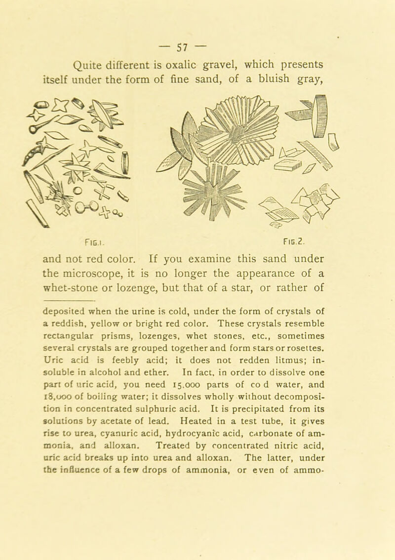 Quite different is oxalic gravel, which presents itself under the form of fine sand, of a bluish gray. and not red color. If you examine this sand under the microscope, it is no longer the appearance of a whet-stone or lozenge, but that of a star, or rather of deposited when the urine is cold, under the form of crystals of a reddish, yellow or bright red color. These crystals resemble rectangular prisms, lozenges, whet stones, etc., sometimes several crystals are grouped together and form stars or rosettes. Uric acid is feebly acid; it does not redden litmus; in- soluble in alcohol and ether. In fact, in order to dissolve one part of uric acid, you need 15.000 parts of cod water, and 18,000 of boiling water; it dissolves wholly without decomposi- tion in concentrated sulphuric acid. It is precipitated from its solutions by acetate of lead. Heated in a test tube, it gives rise to urea, cyanuric acid, hydrocyanic acid, carbonate of am- monia, and alloxan. Treated by concentrated nitric acid, uric acid breaks up into urea and alloxan. The latter, under the influence of a few drops of ammonia, or even of ammo-